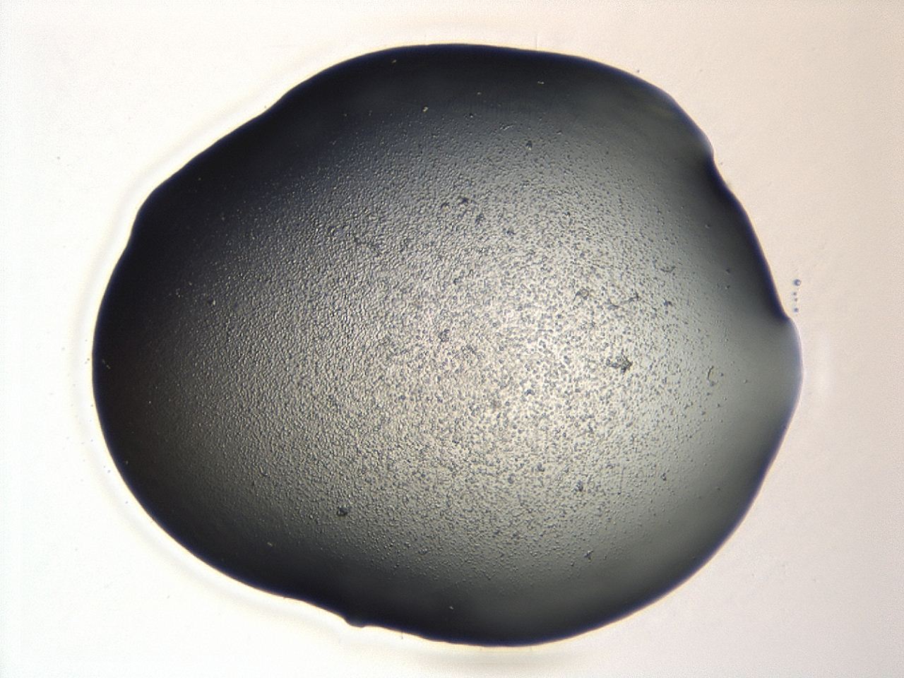 04cq_A4_ImagerDefaults_3.jpg