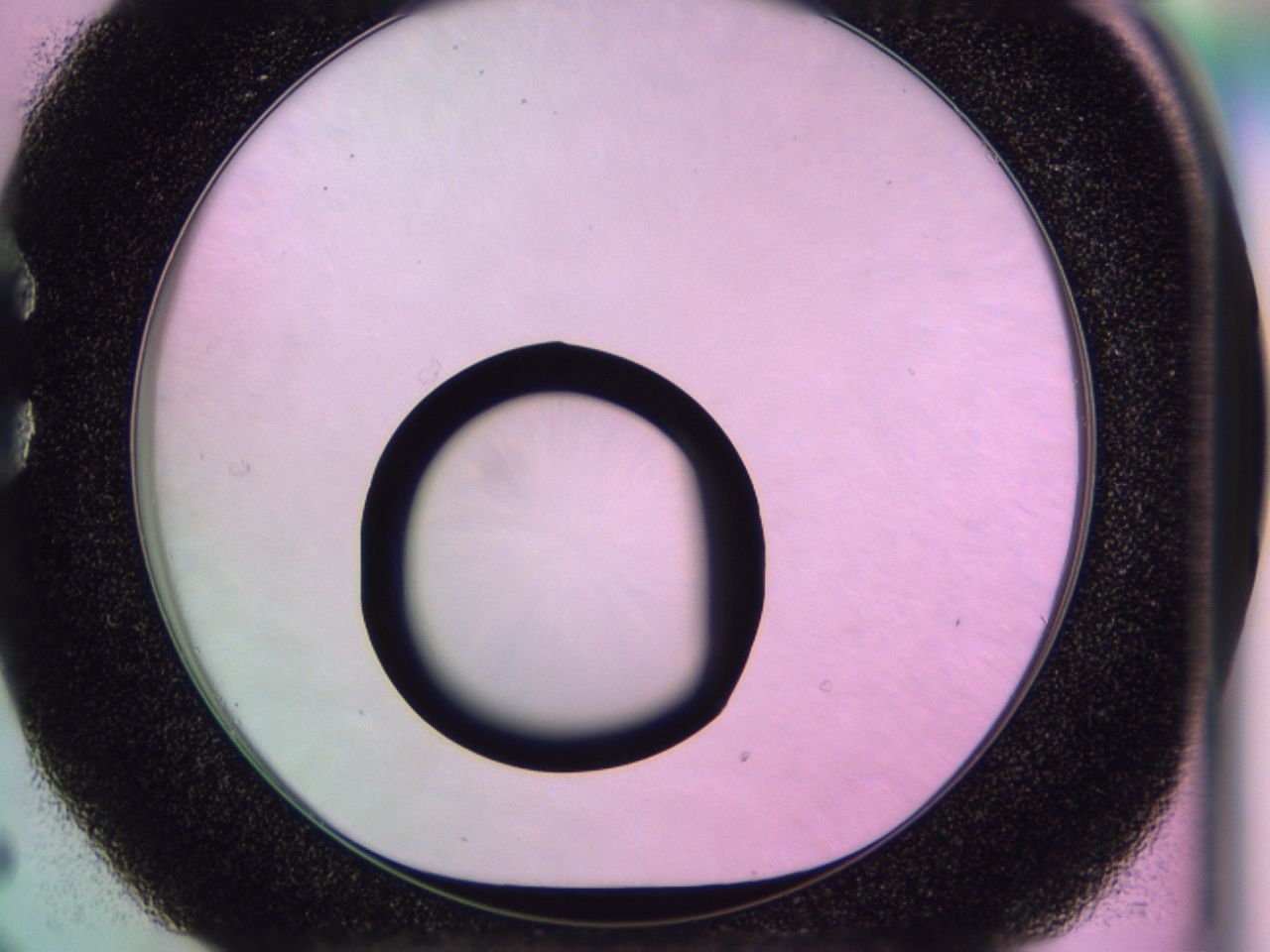 0170_C5_ImagerDefaults_0.jpg