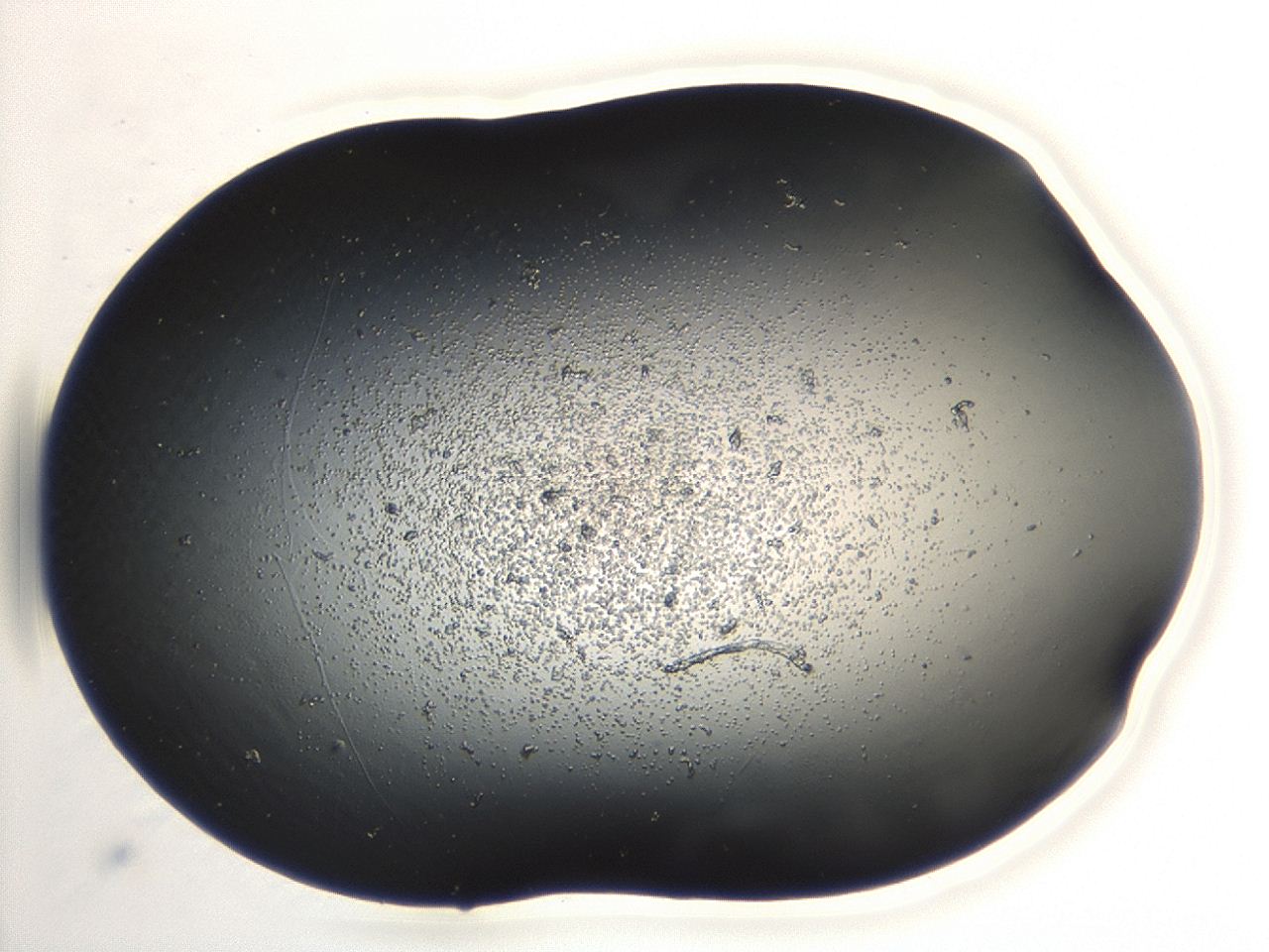 04cq_A6_ImagerDefaults_3.jpg