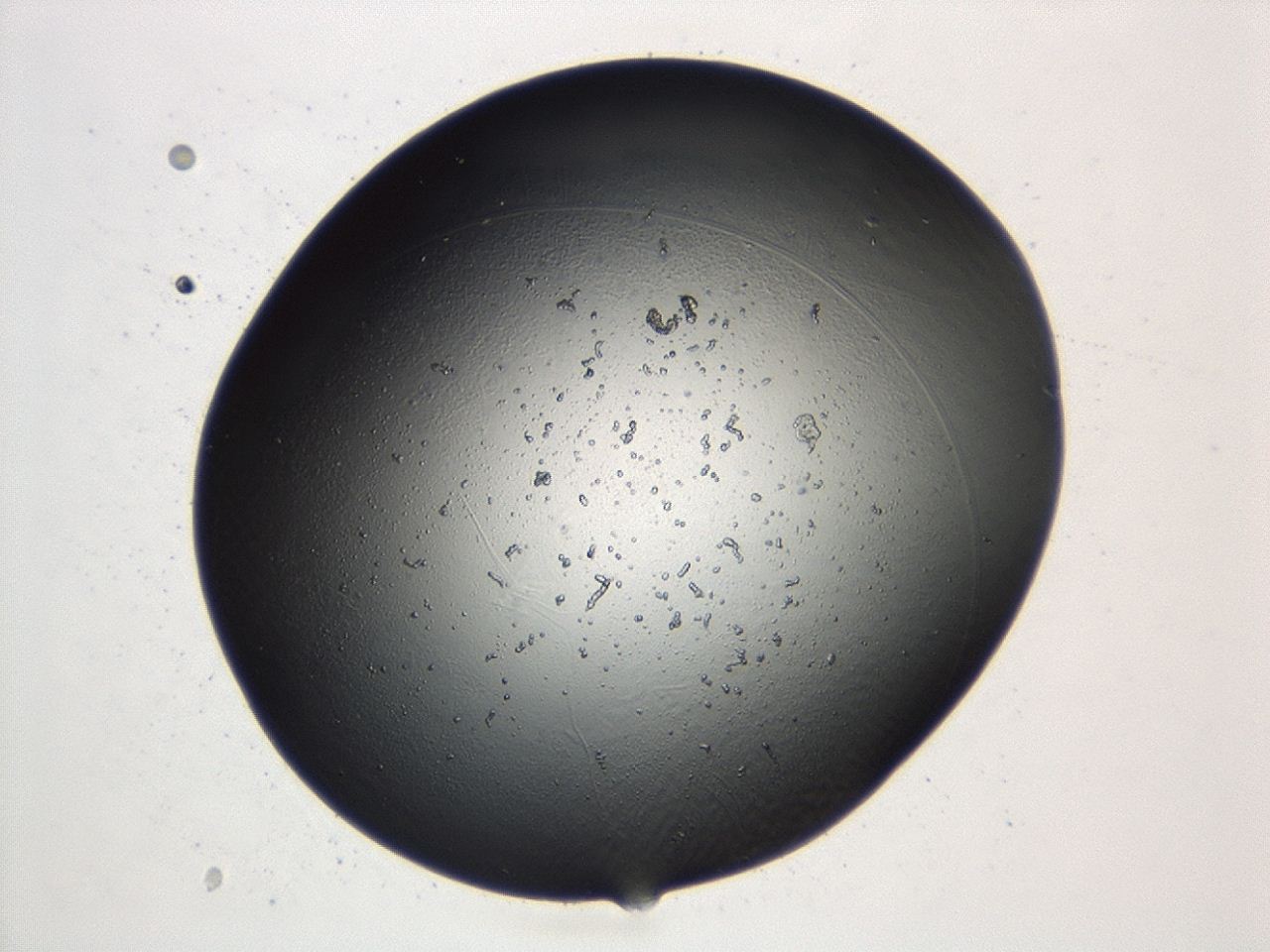 04cq_A8_ImagerDefaults_2.jpg