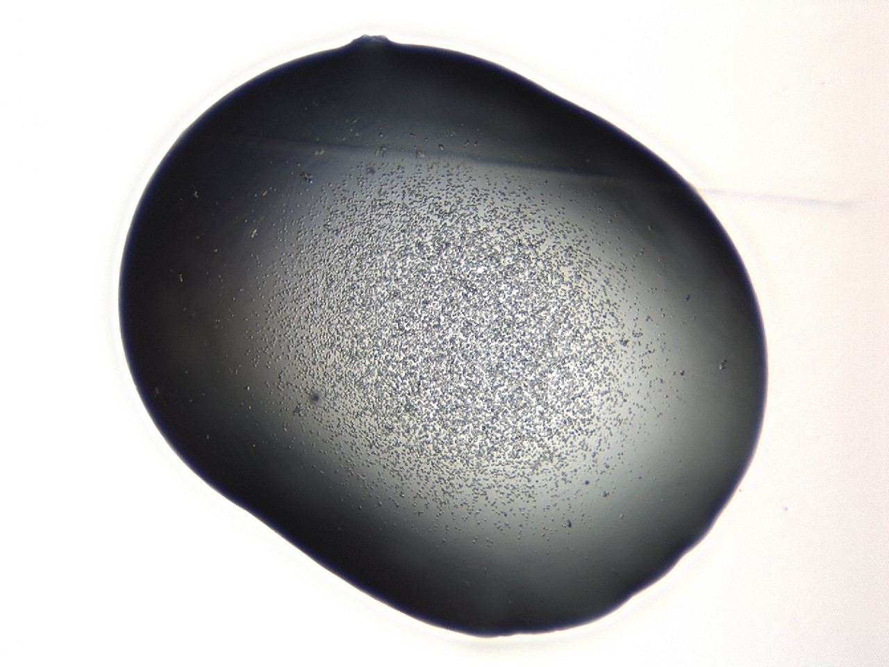 04cq_A9_ImagerDefaults_3.jpg
