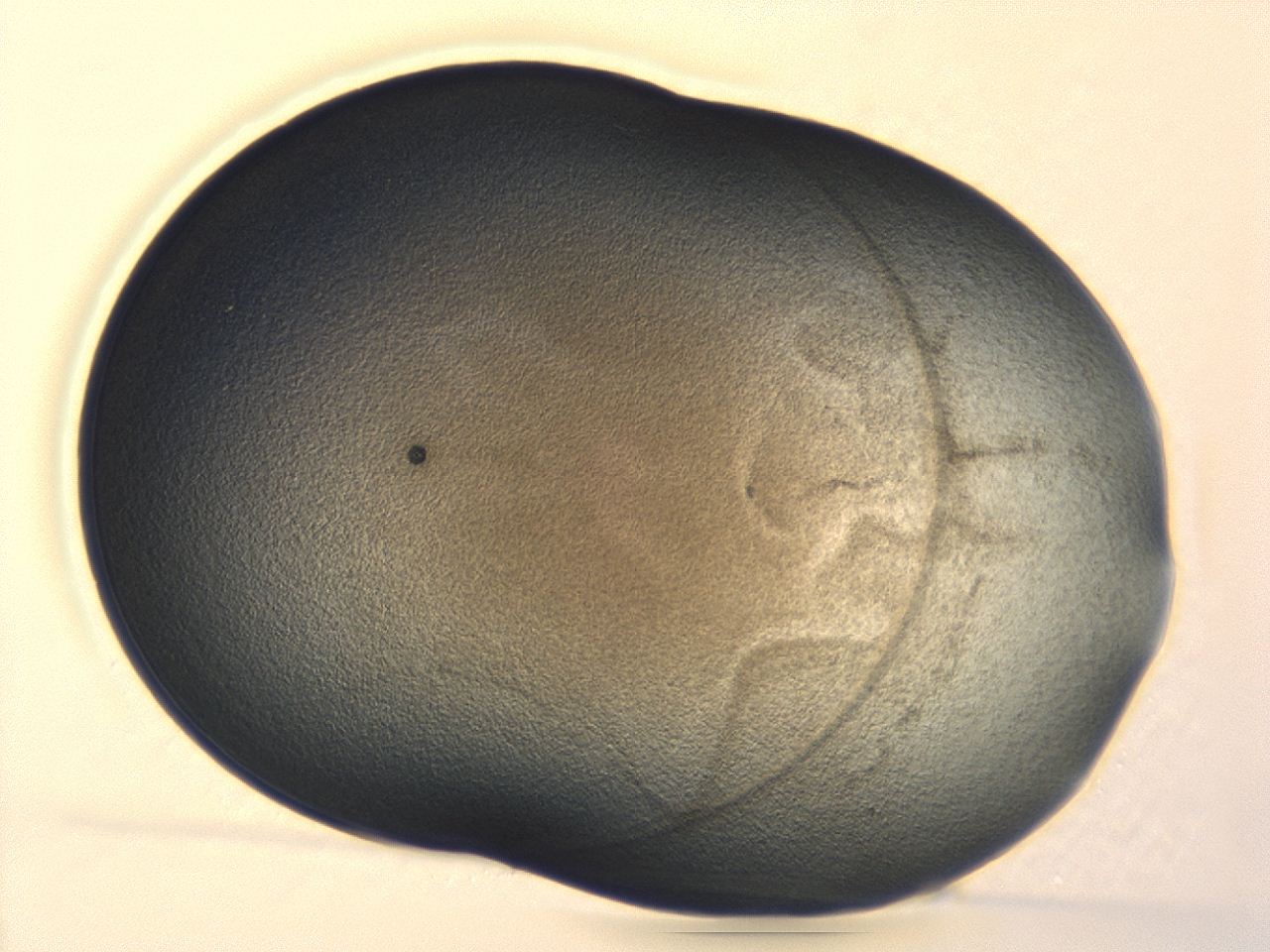 04cq_A10_ImagerDefaults_3.jpg