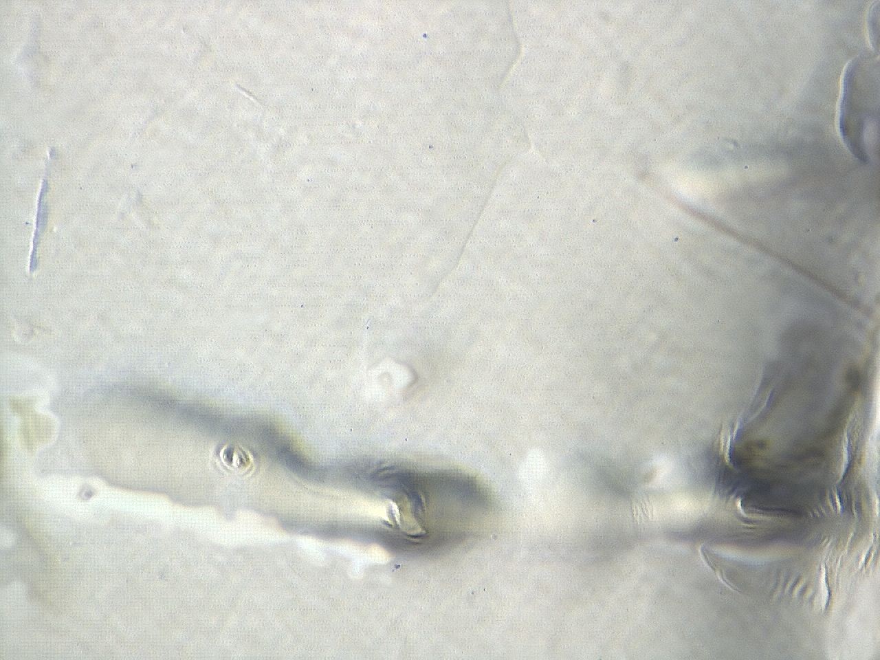 04cq_B5_ImagerDefaults_0.jpg