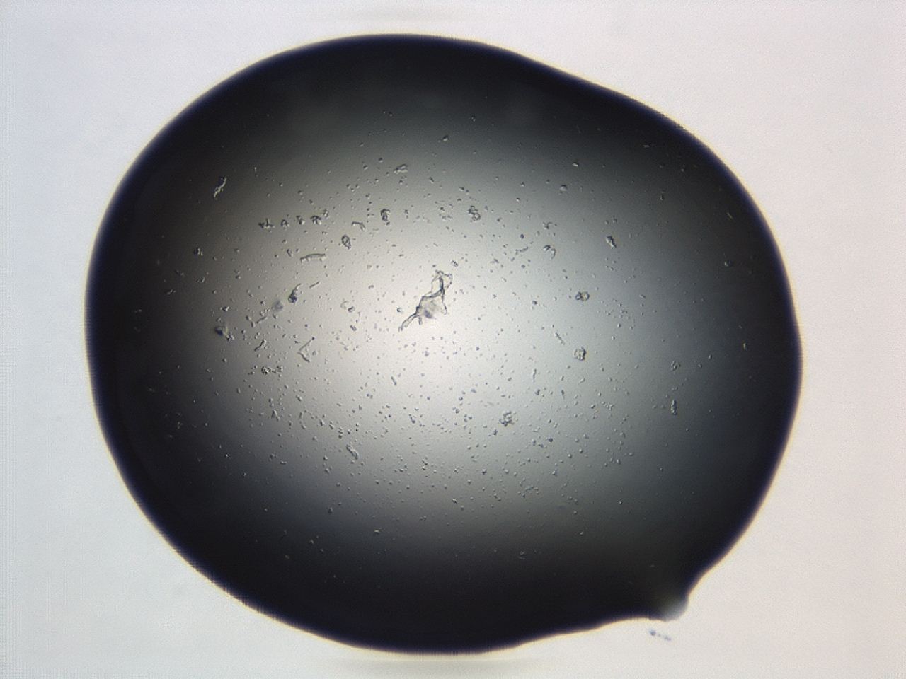 04cq_B6_ImagerDefaults_0.jpg