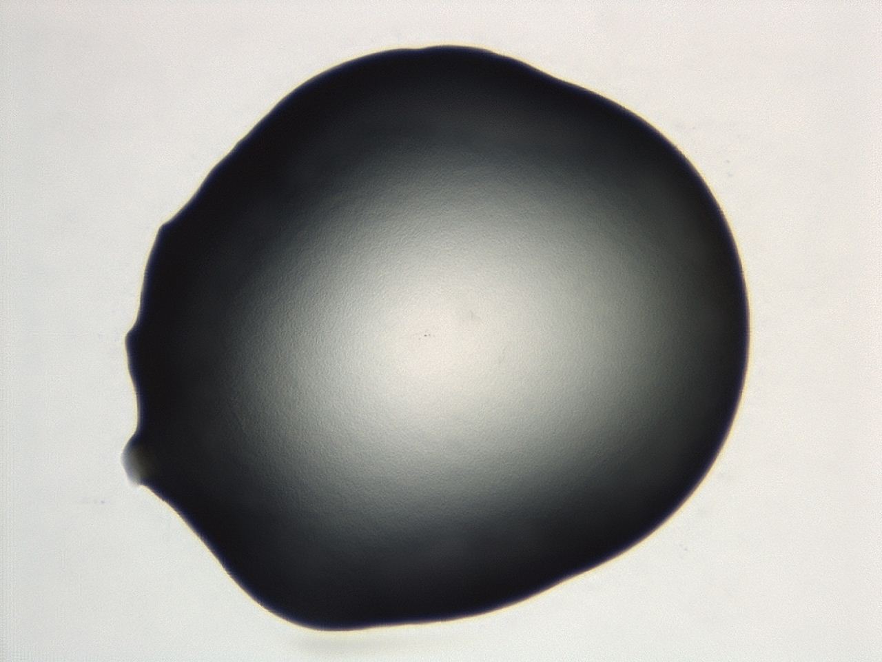 04cq_D9_ImagerDefaults_0.jpg