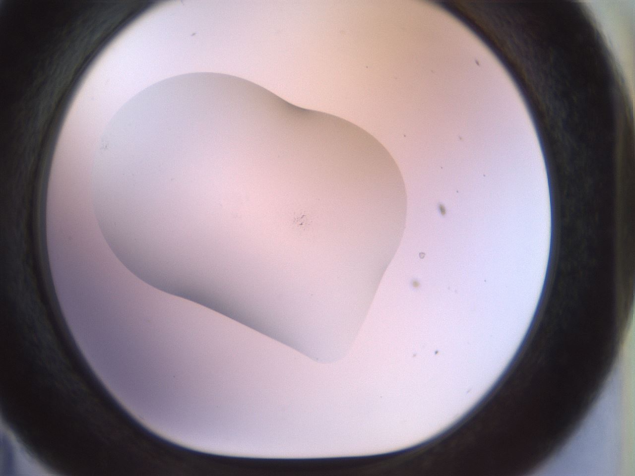 folderID921_plateID1921_batchID8271_wellNum35_profileID1_d1_r127944_ef.jpg
