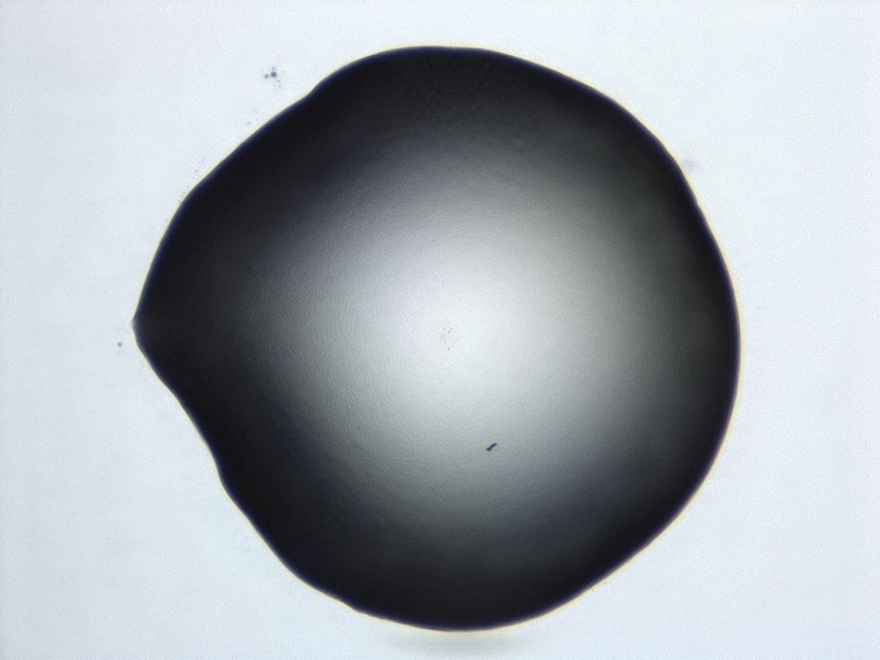04cq_D10_ImagerDefaults_0.jpg