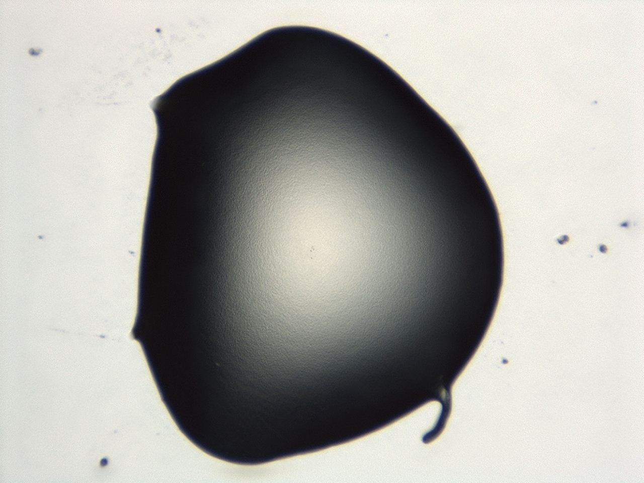 04cq_D11_ImagerDefaults_0.jpg