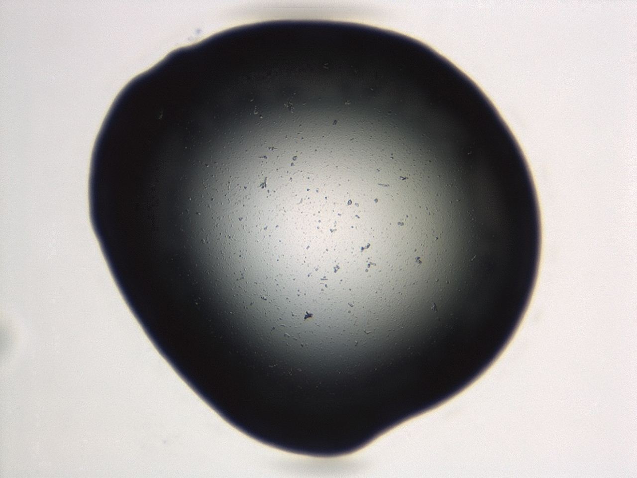 04cq_D12_ImagerDefaults_0.jpg