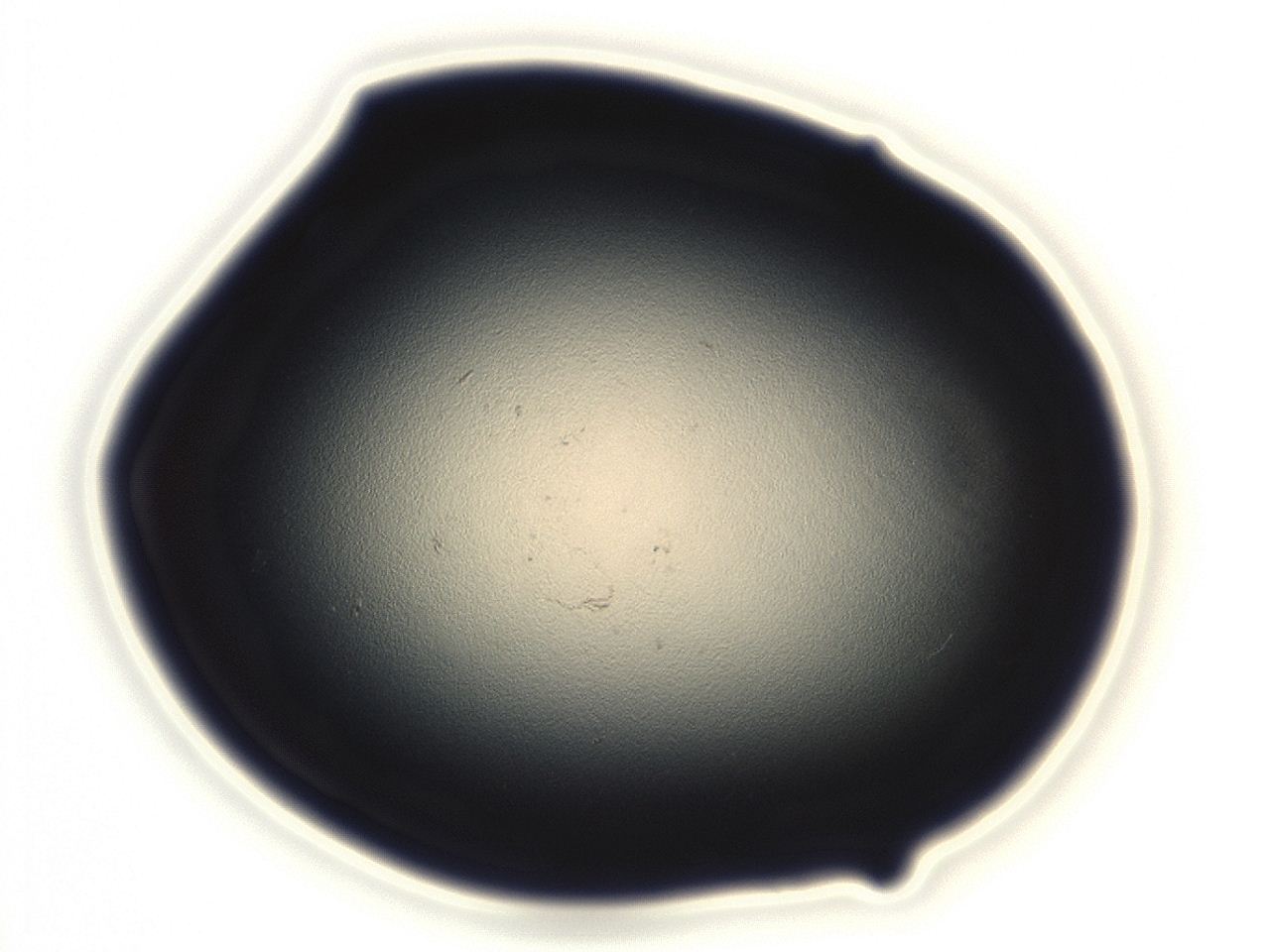 04cq_E1_ImagerDefaults_0.jpg