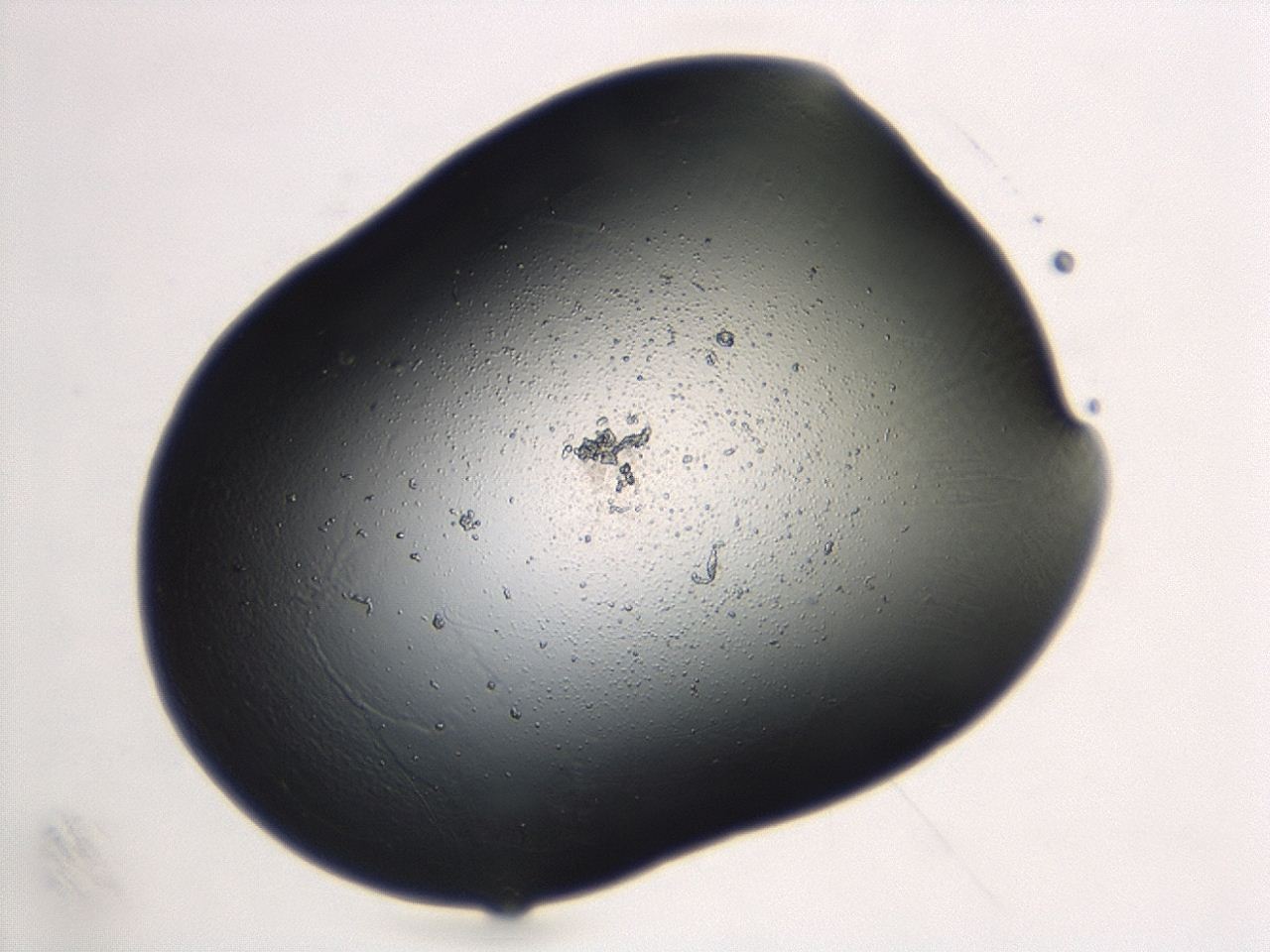 04cq_E4_ImagerDefaults_3.jpg