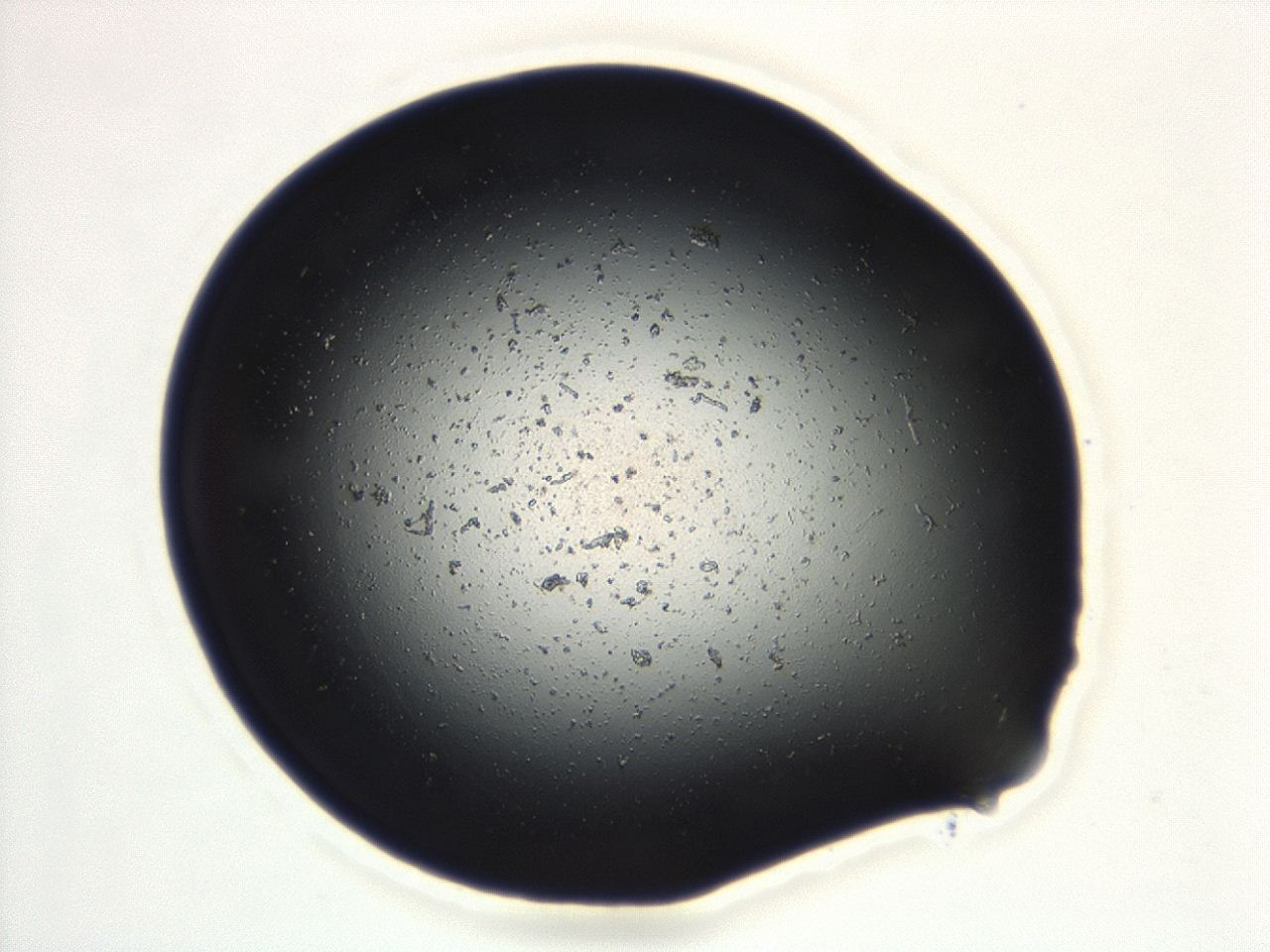 04cq_E5_ImagerDefaults_0.jpg