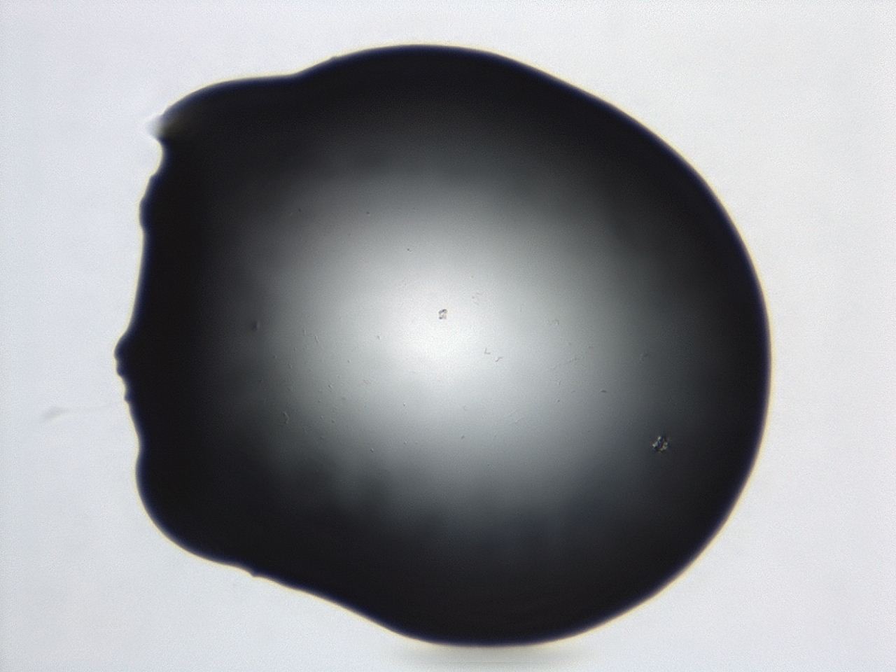 04cq_B8_ImagerDefaults_0.jpg