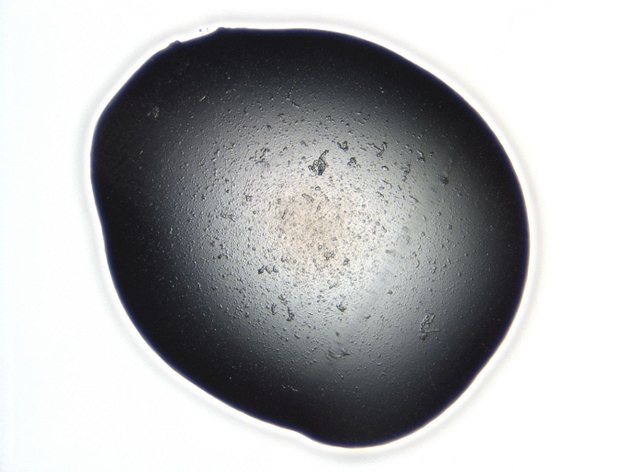 04cq_B9_ImagerDefaults_3.jpg