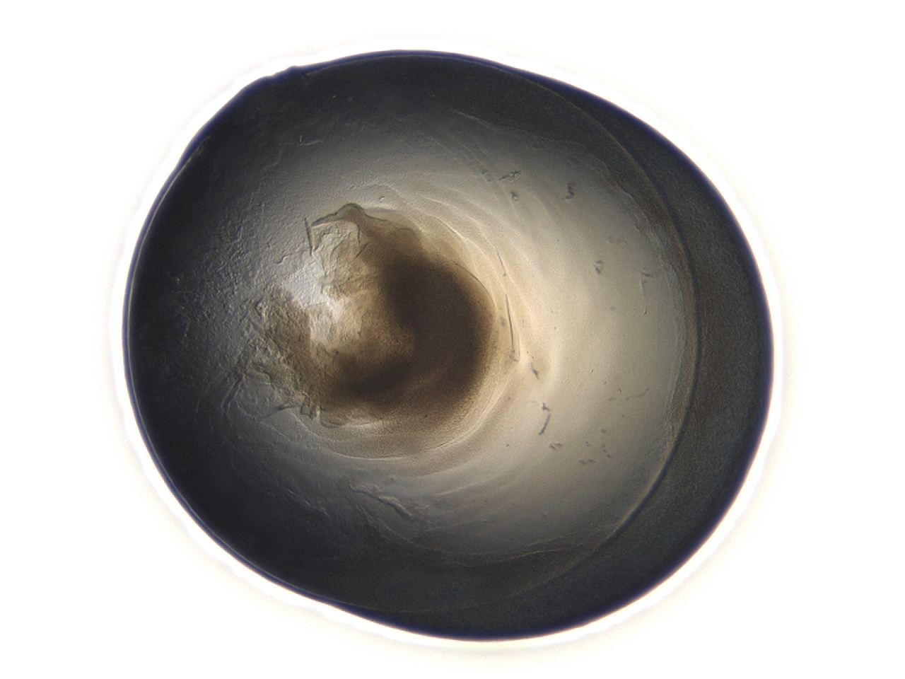 04cq_B10_ImagerDefaults_3.jpg