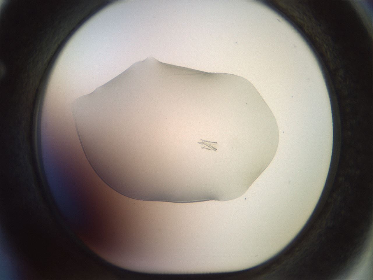 folderID923_plateID1923_batchID8269_wellNum64_profileID1_d1_r127781_ef.jpg