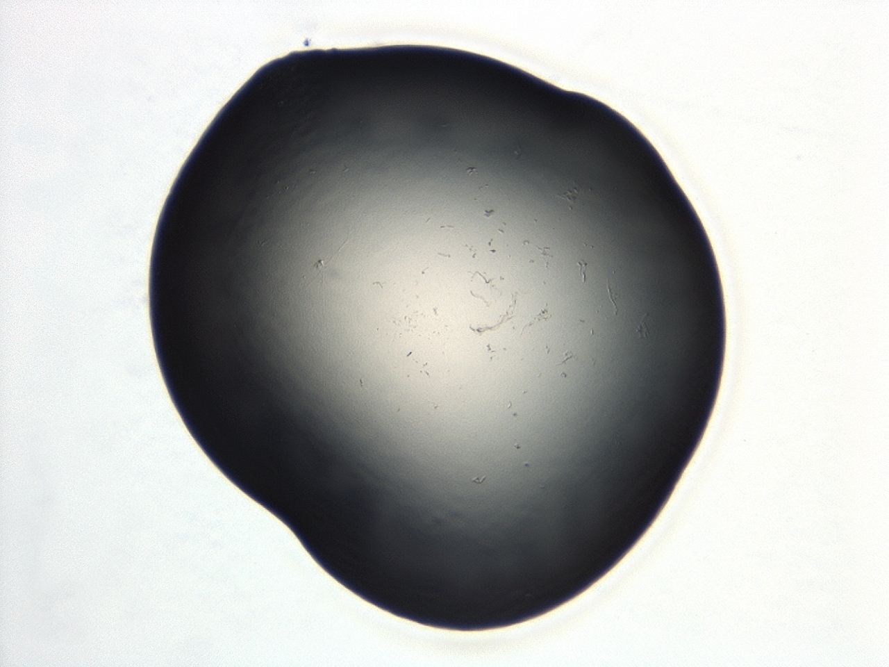 04cq_B11_ImagerDefaults_0.jpg