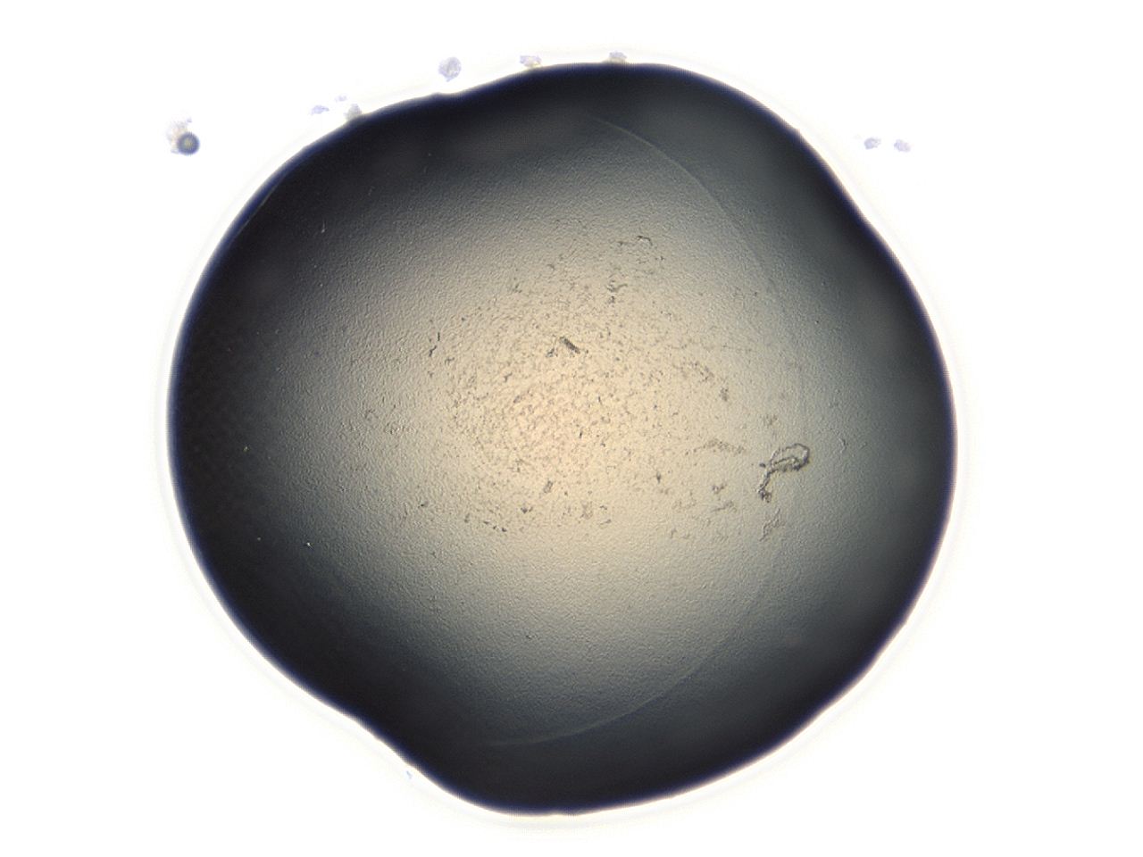 04cq_B12_ImagerDefaults_3.jpg
