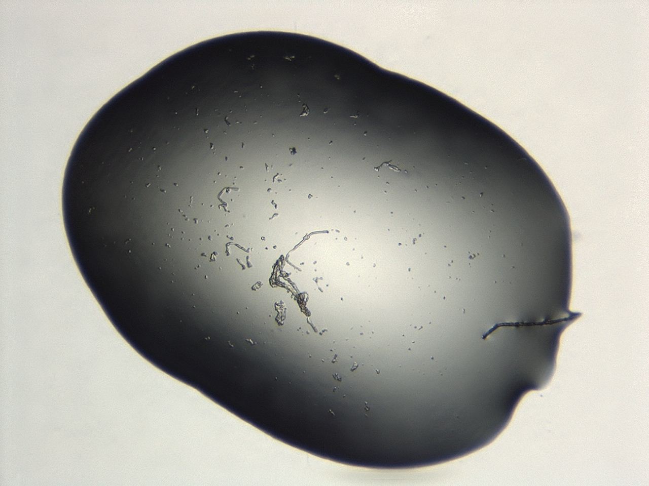 04cq_E7_ImagerDefaults_0.jpg