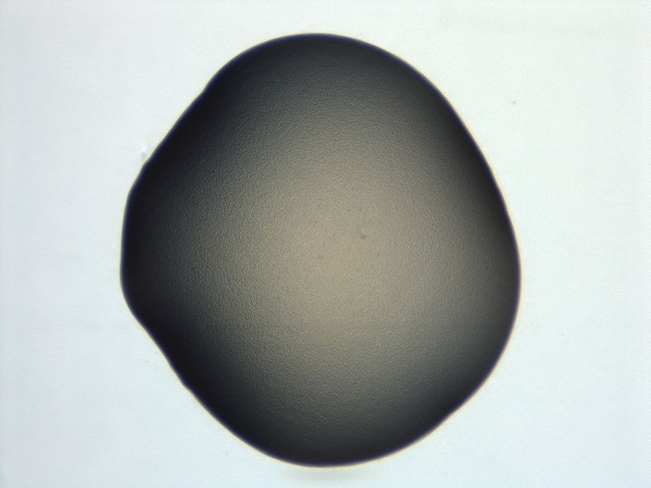04cq_E10_ImagerDefaults_3.jpg