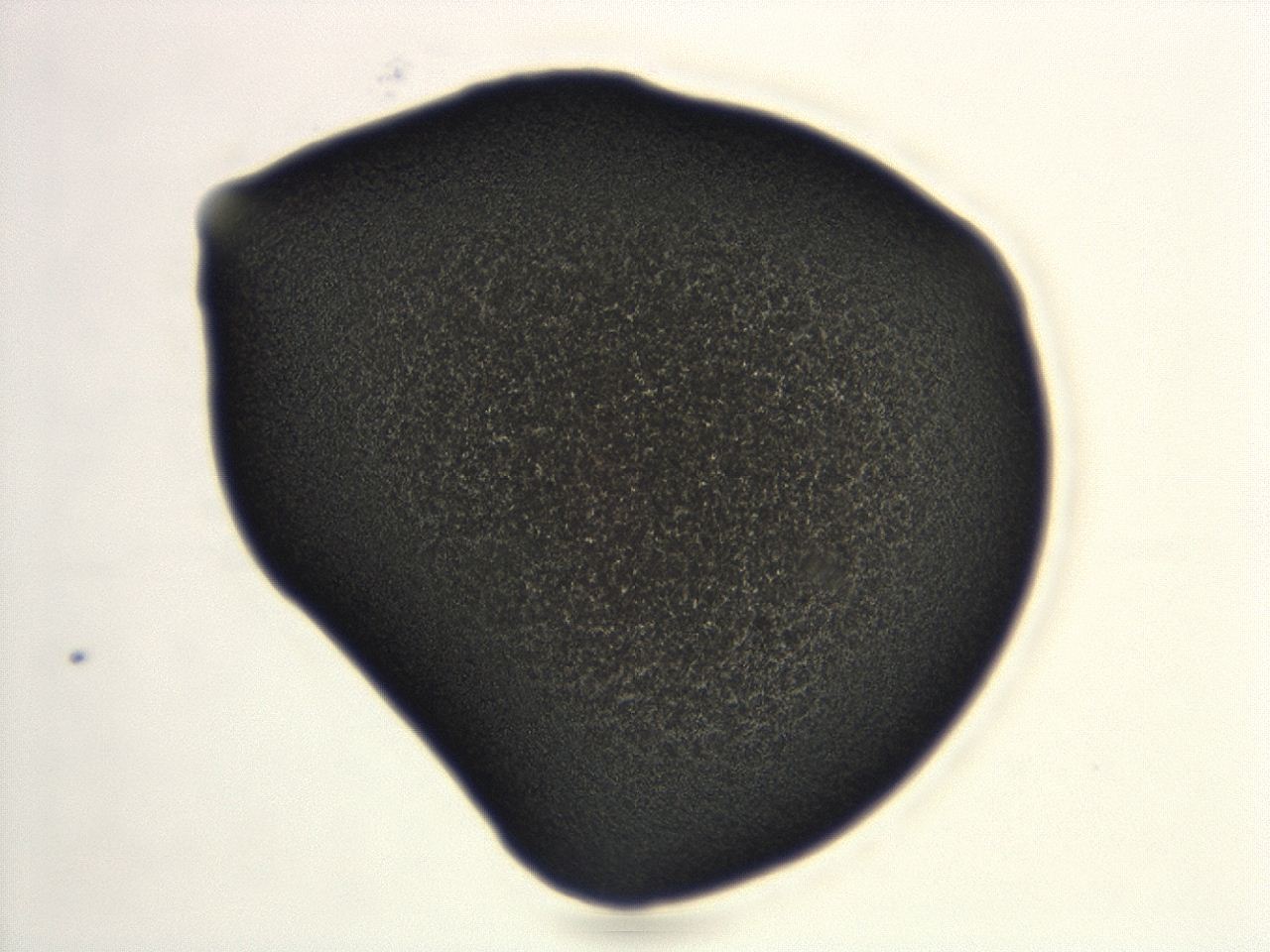 04cq_E11_ImagerDefaults_3.jpg