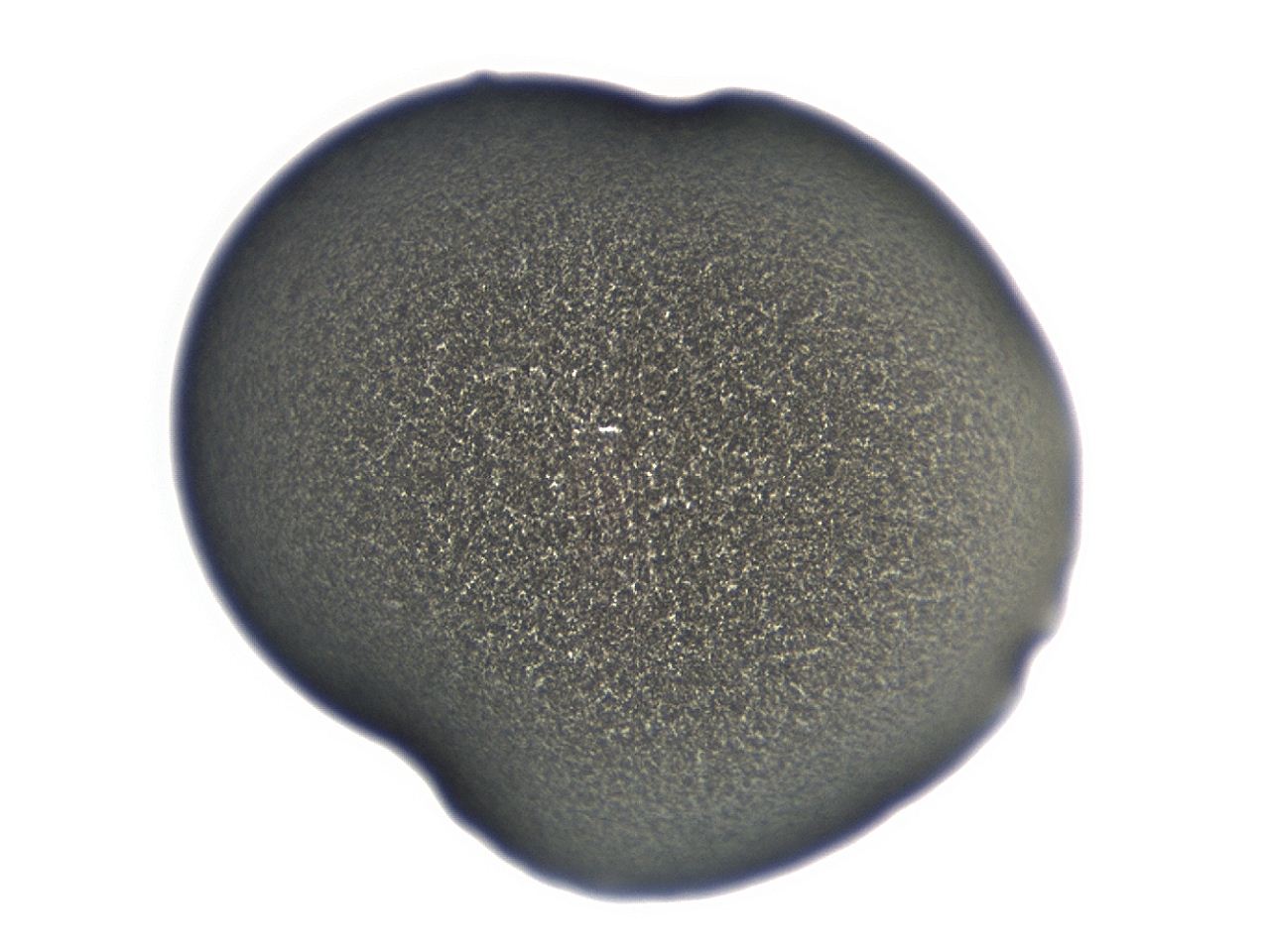 04cq_E12_ImagerDefaults_3.jpg