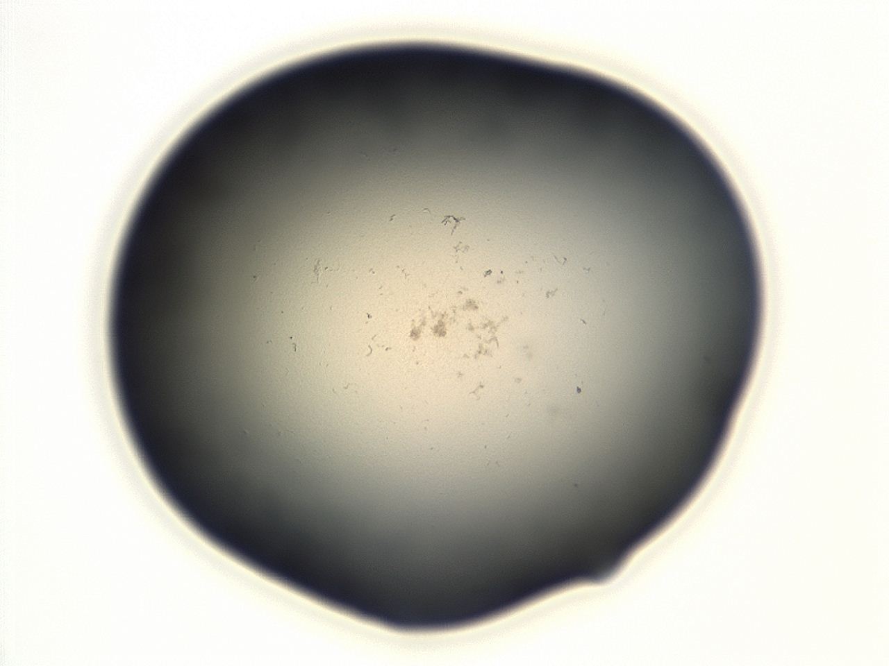 04cq_F1_ImagerDefaults_0.jpg