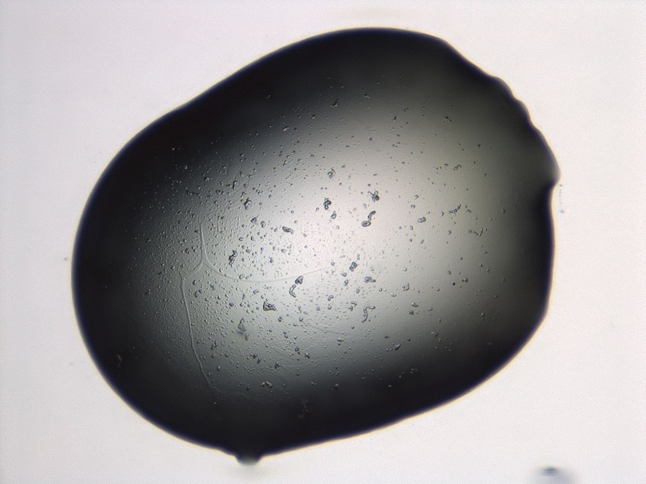 04cq_F4_ImagerDefaults_3.jpg