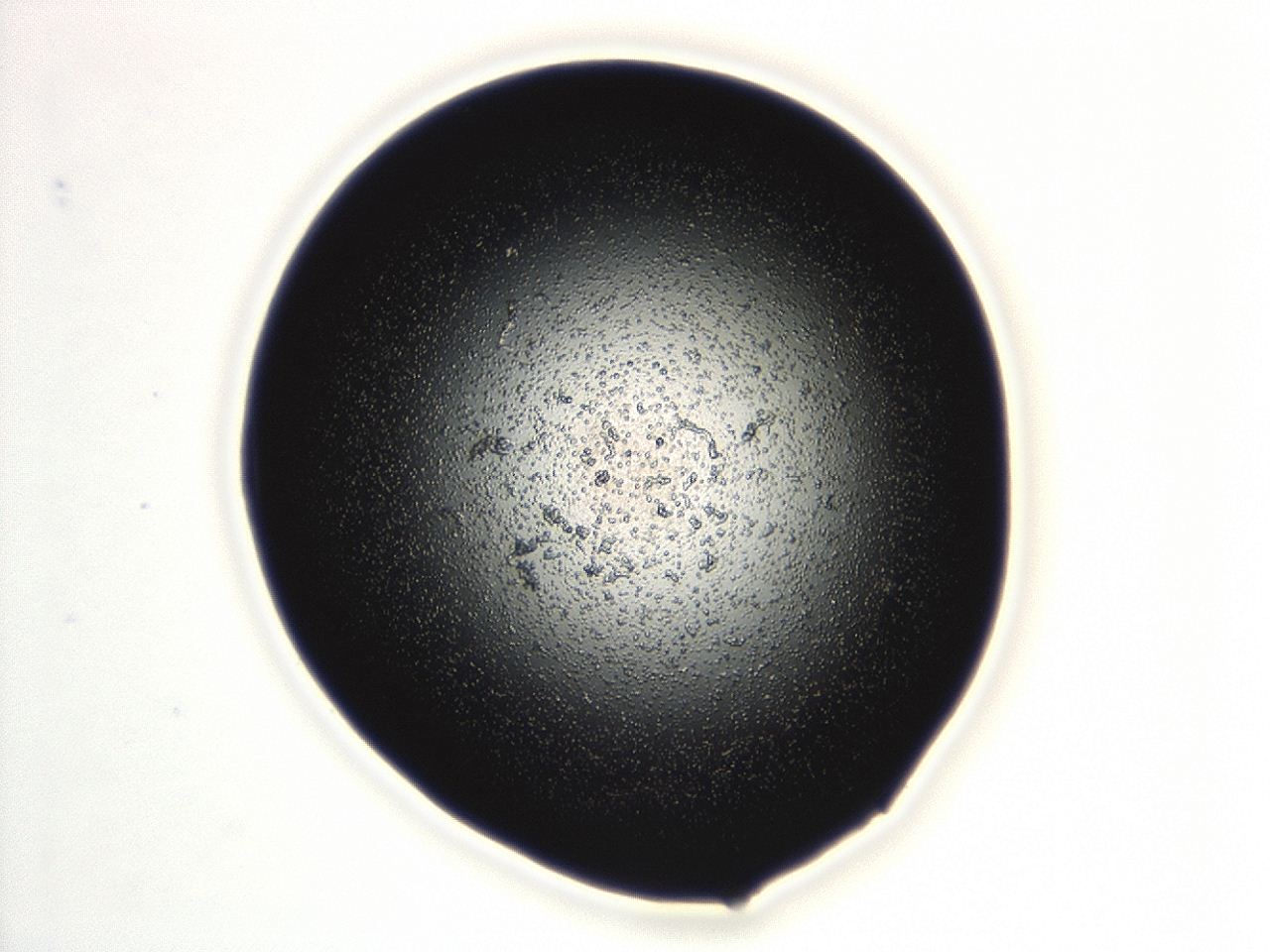 04cq_F5_ImagerDefaults_3.jpg