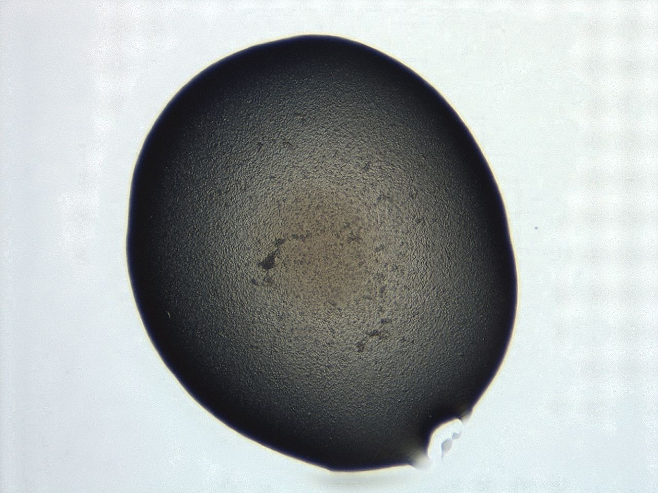 04cq_F6_ImagerDefaults_3.jpg