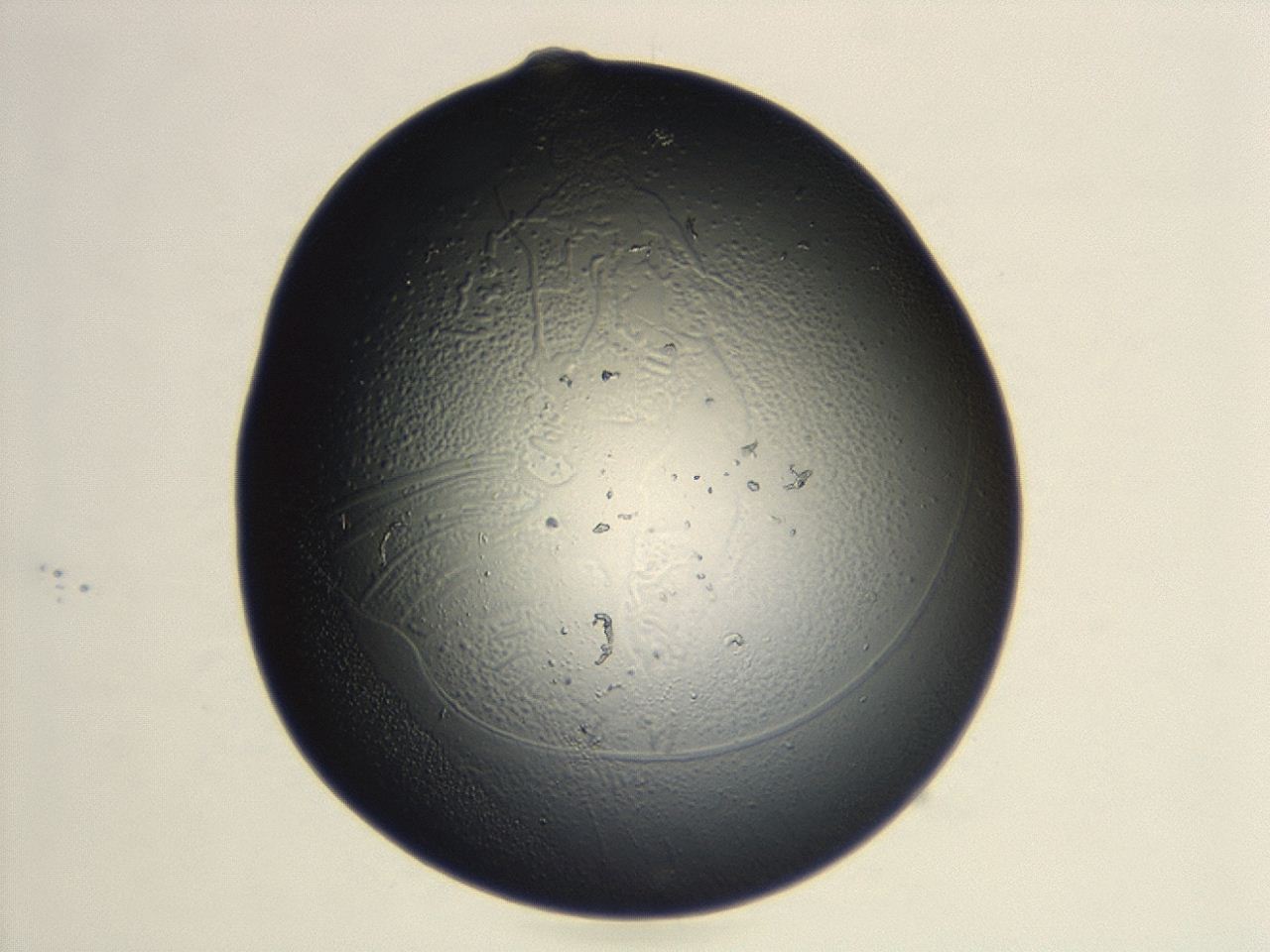 04cq_F7_ImagerDefaults_0.jpg