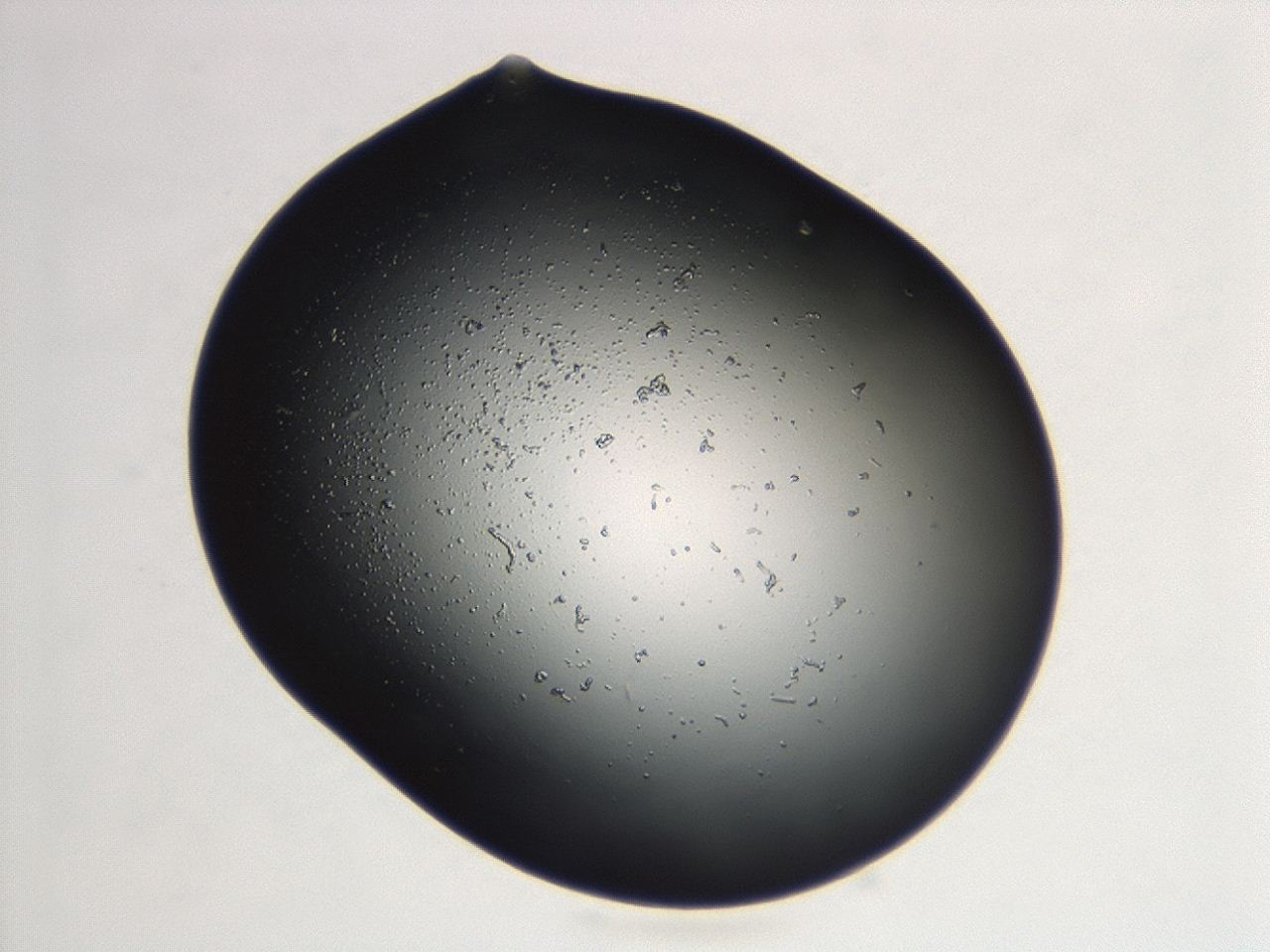 04cq_F8_ImagerDefaults_0.jpg
