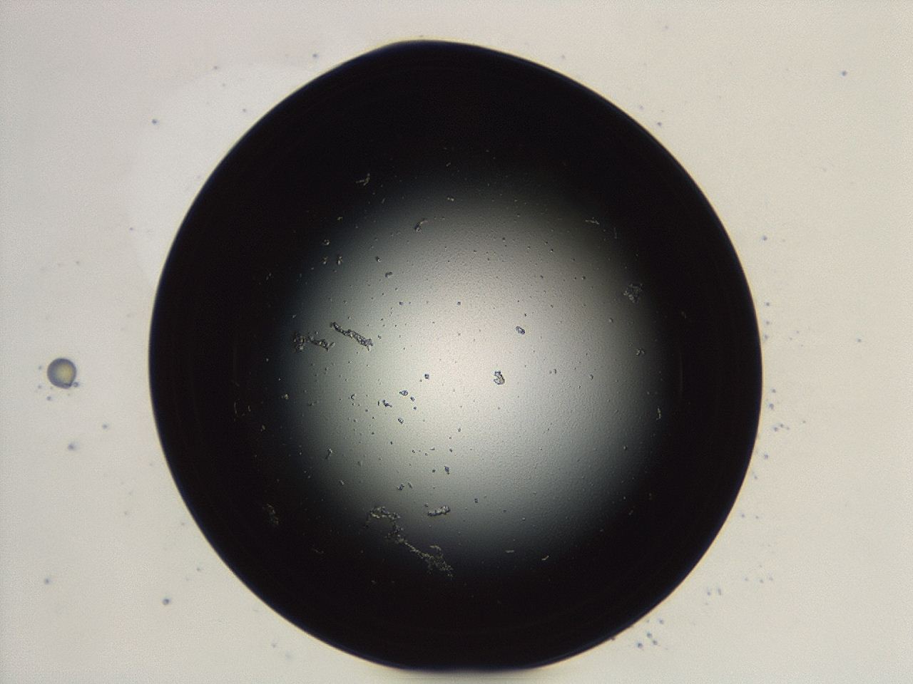 04cq_F9_ImagerDefaults_0.jpg