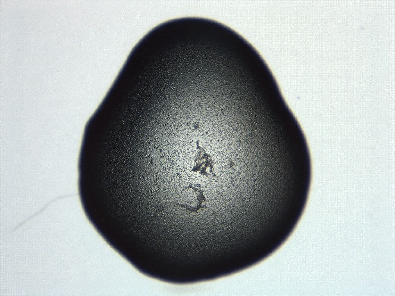 04cq_F10_ImagerDefaults_3.jpg