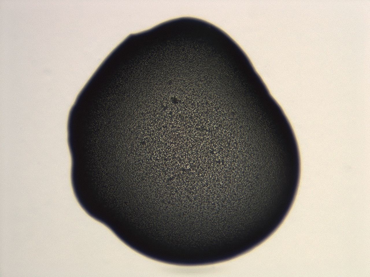 04cq_F11_ImagerDefaults_3.jpg