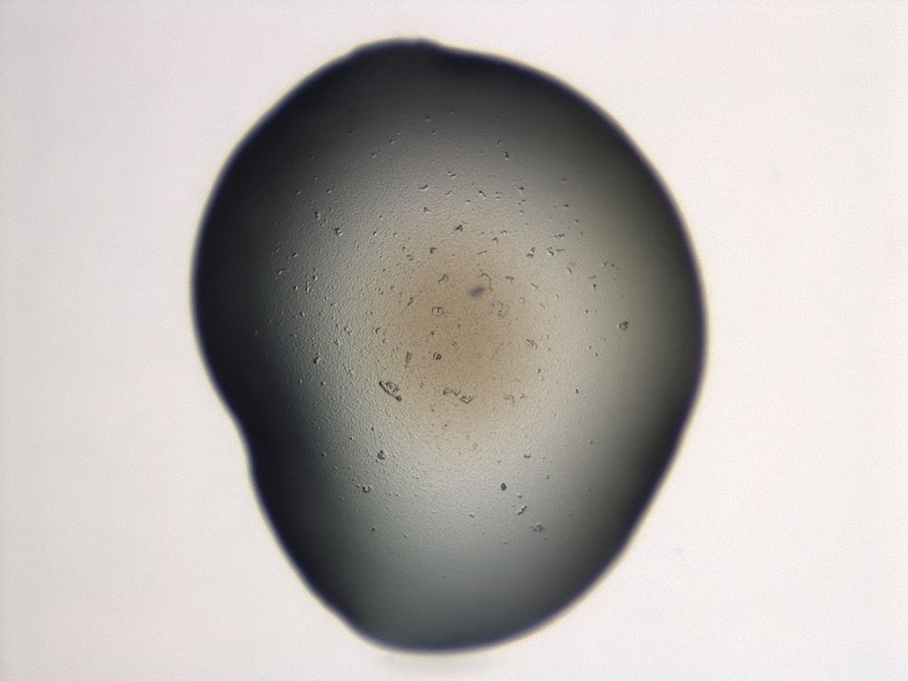 04cq_F12_ImagerDefaults_0.jpg