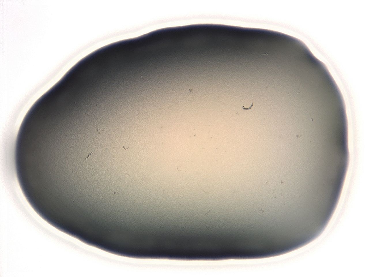 04cq_G4_ImagerDefaults_0.jpg