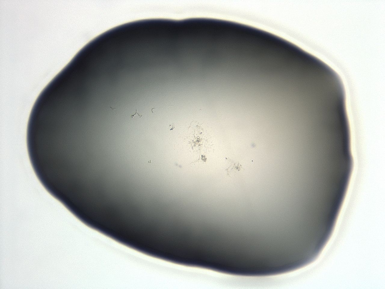 04cq_G5_ImagerDefaults_0.jpg