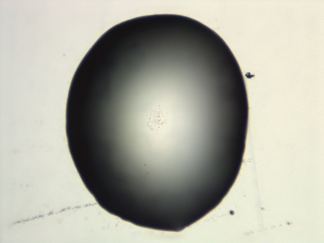 04cq_G6_ImagerDefaults_0.jpg