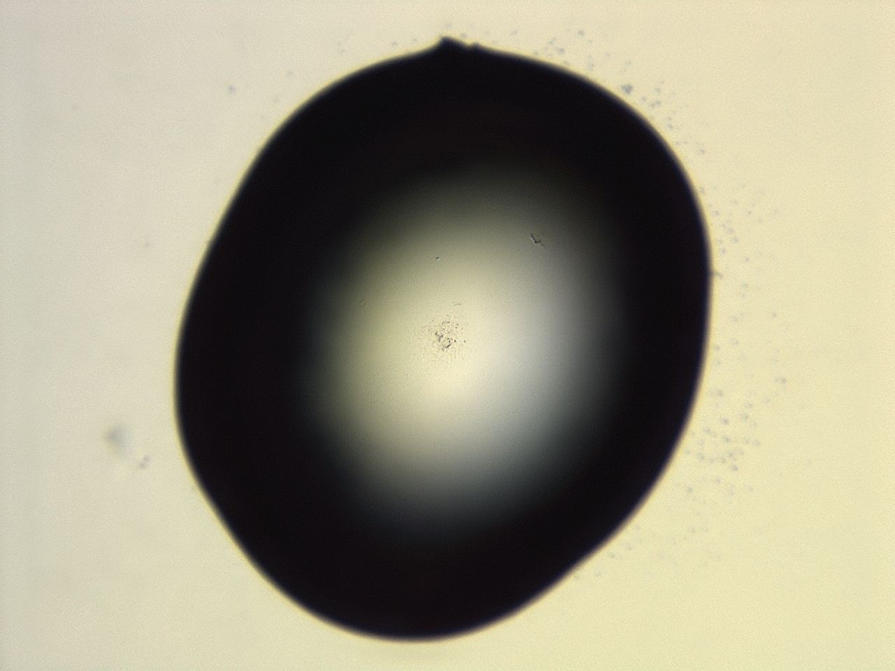 04cq_G10_ImagerDefaults_0.jpg