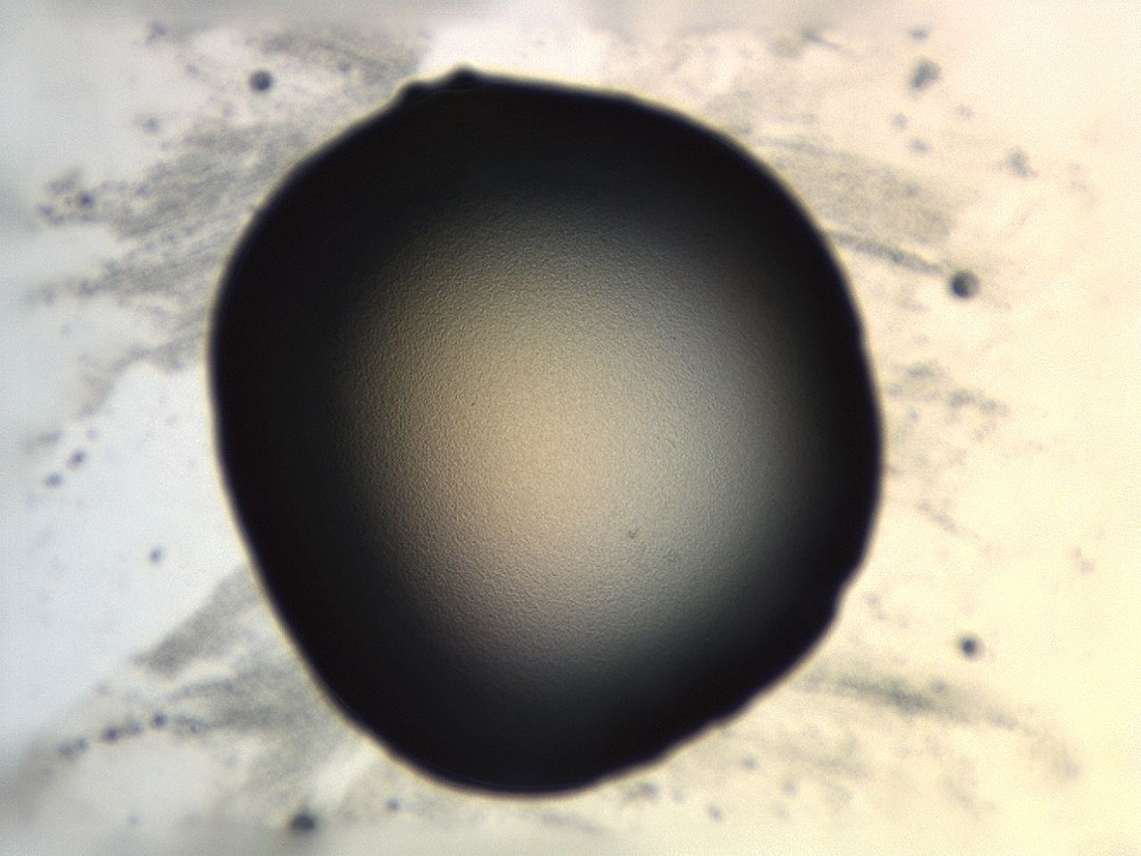 04cq_G12_ImagerDefaults_0.jpg