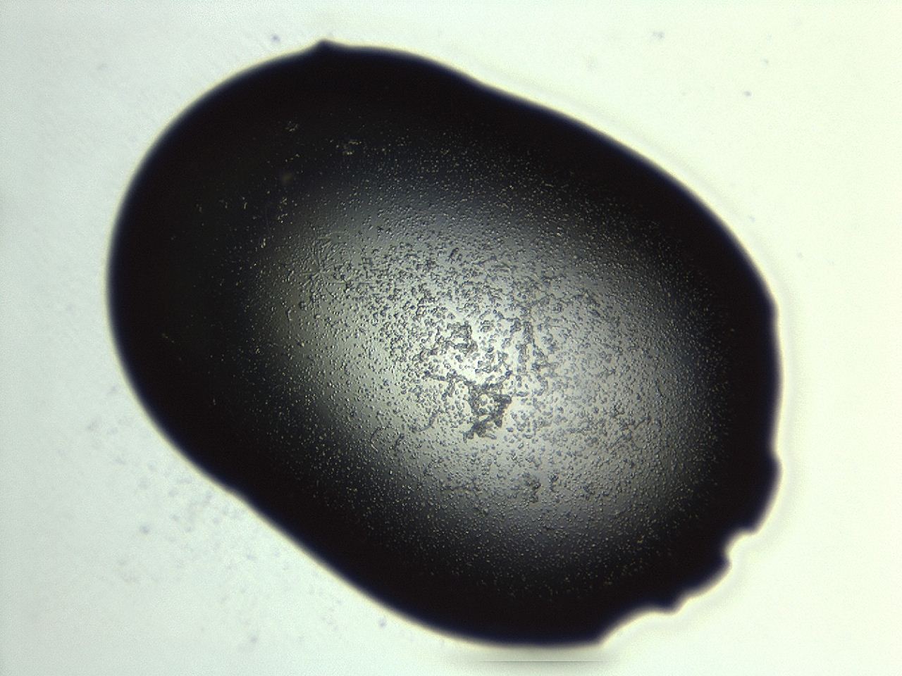 04cq_H3_ImagerDefaults_3.jpg