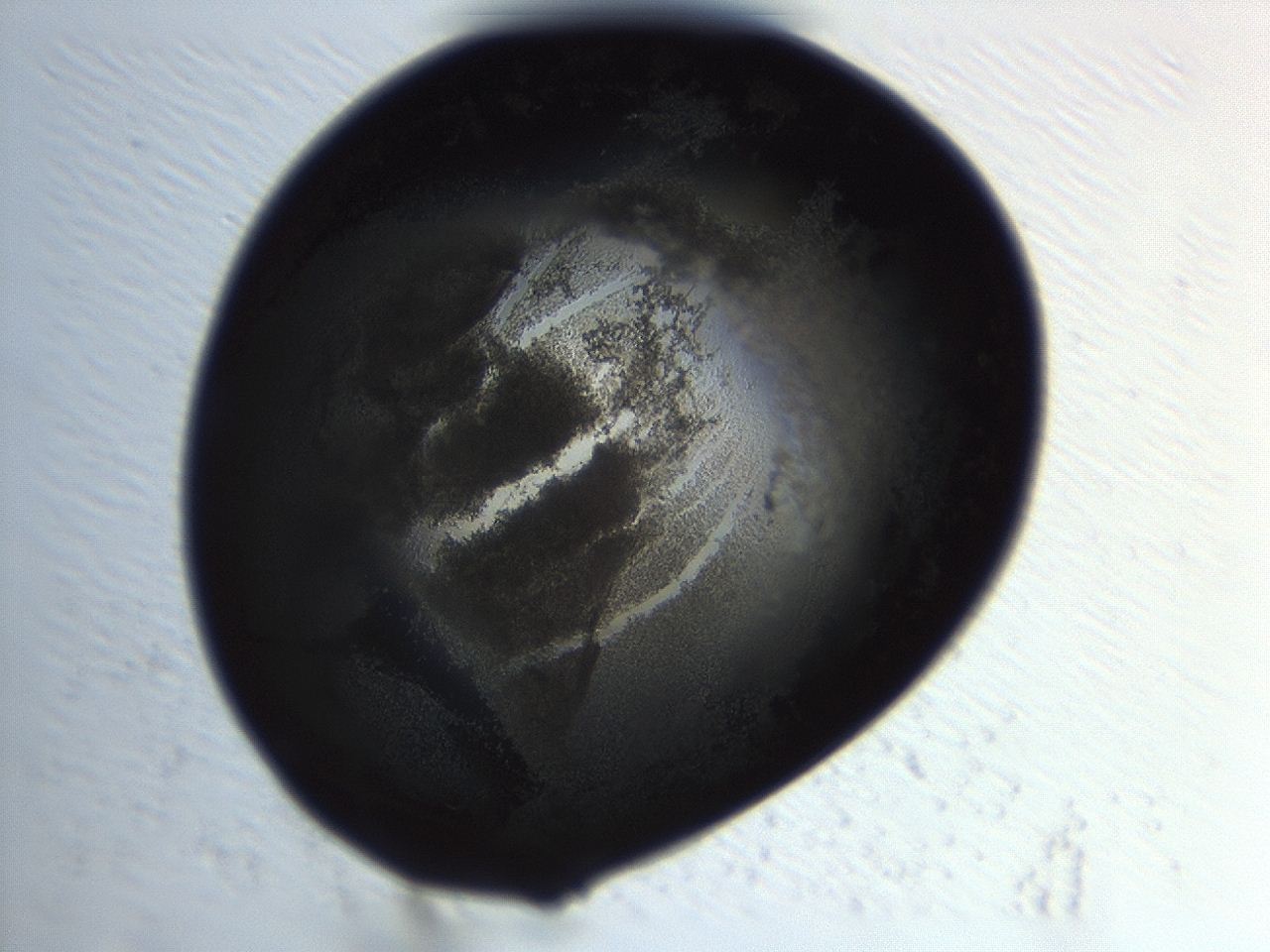 04cq_H5_ImagerDefaults_3.jpg