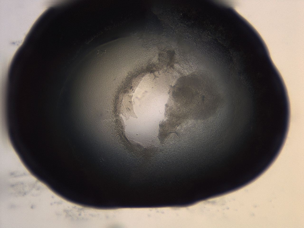 04cq_H6_ImagerDefaults_3.jpg
