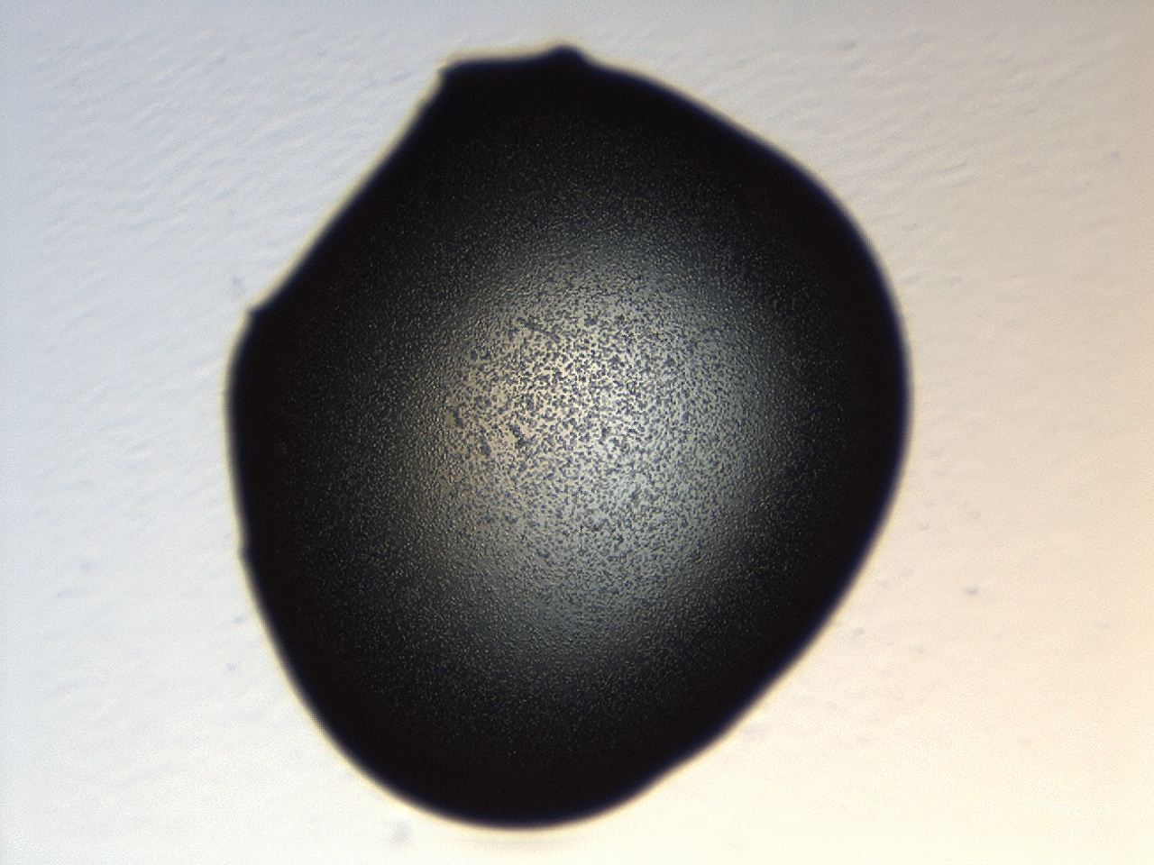 04cq_H8_ImagerDefaults_0.jpg