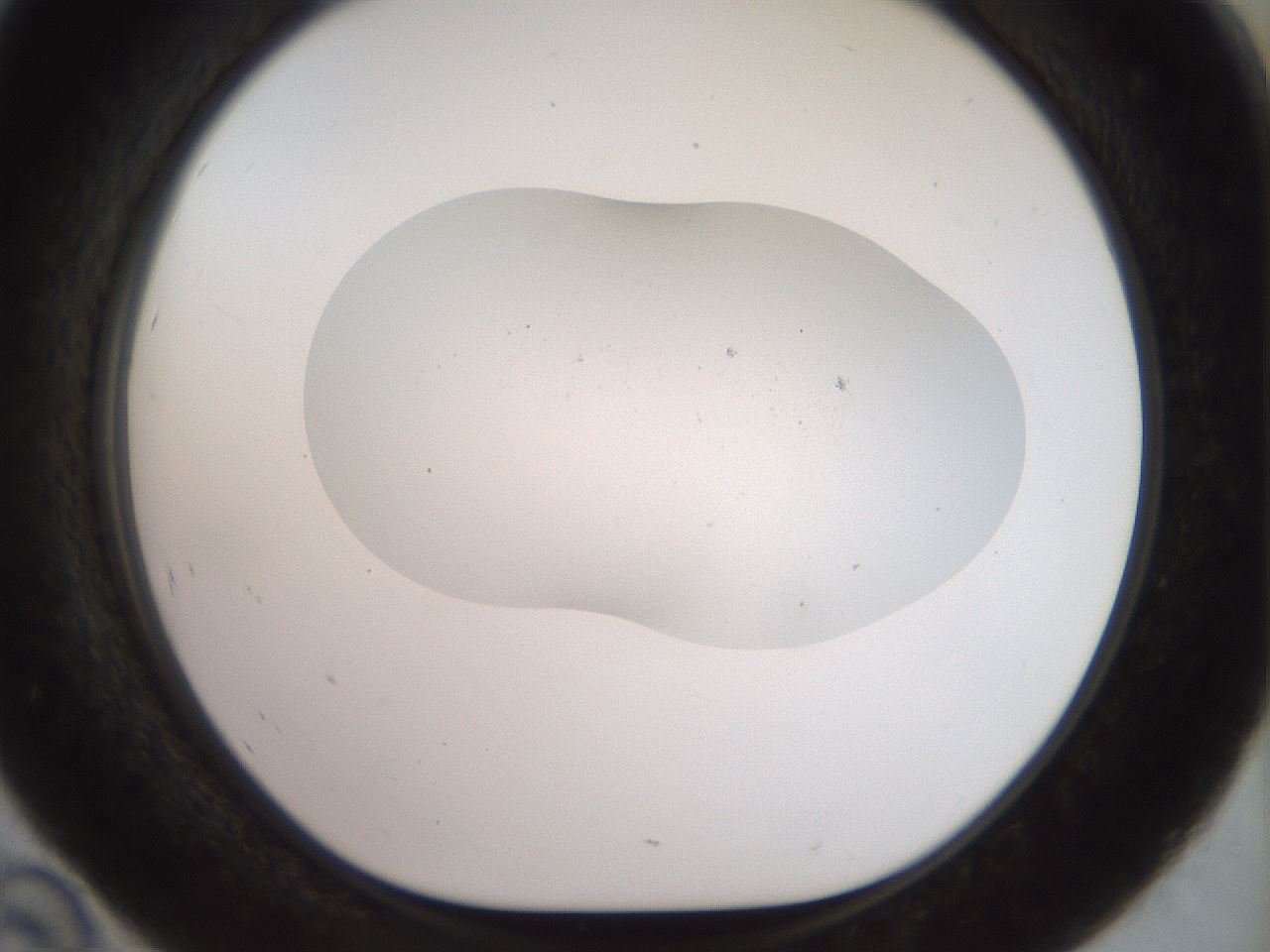 folderID927_plateID1927_batchID8295_wellNum46_profileID1_d1_r128723_ef.jpg