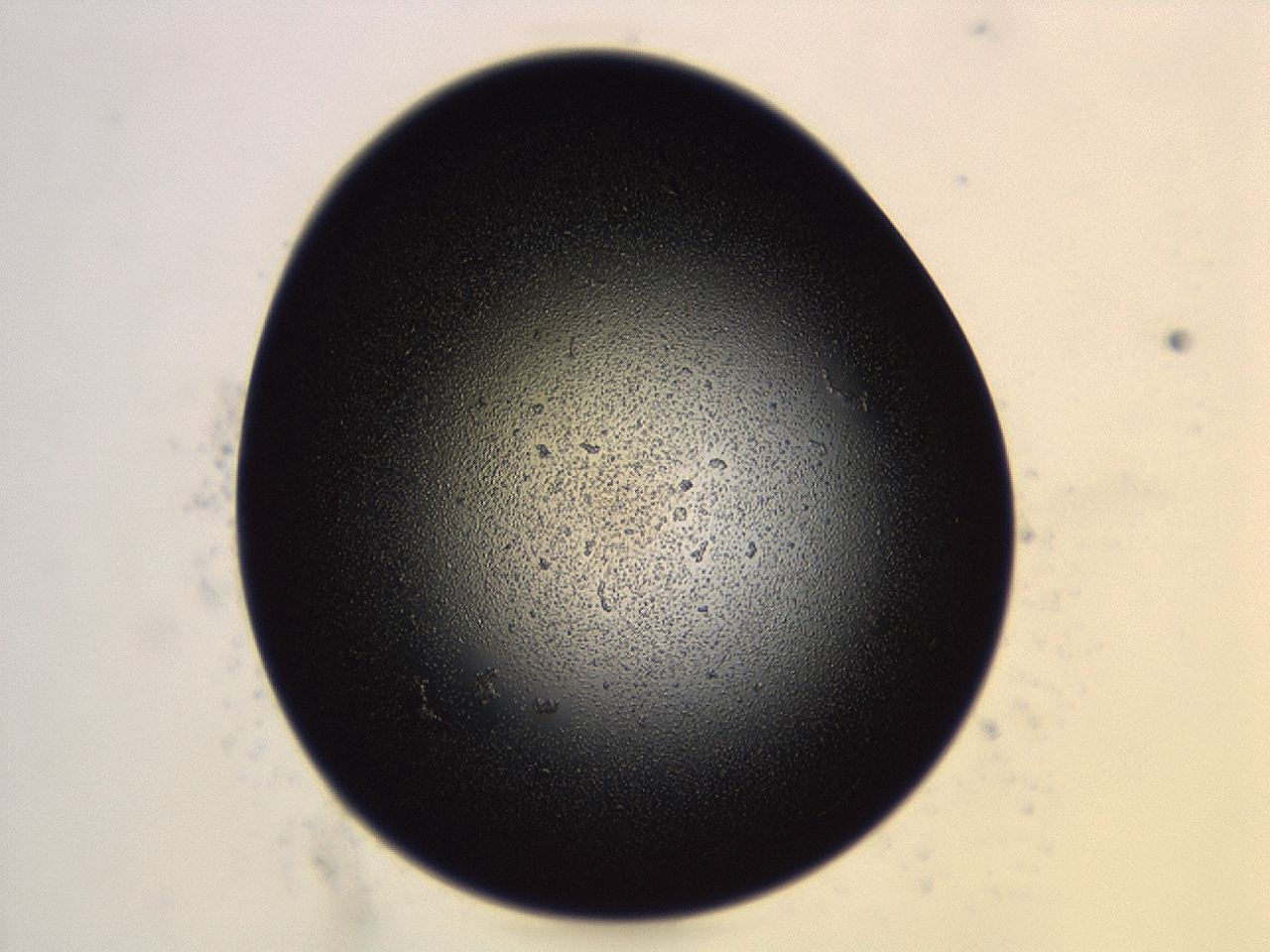 04cq_H10_ImagerDefaults_3.jpg