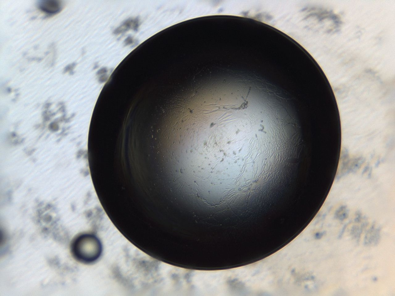 04cq_H12_ImagerDefaults_3.jpg