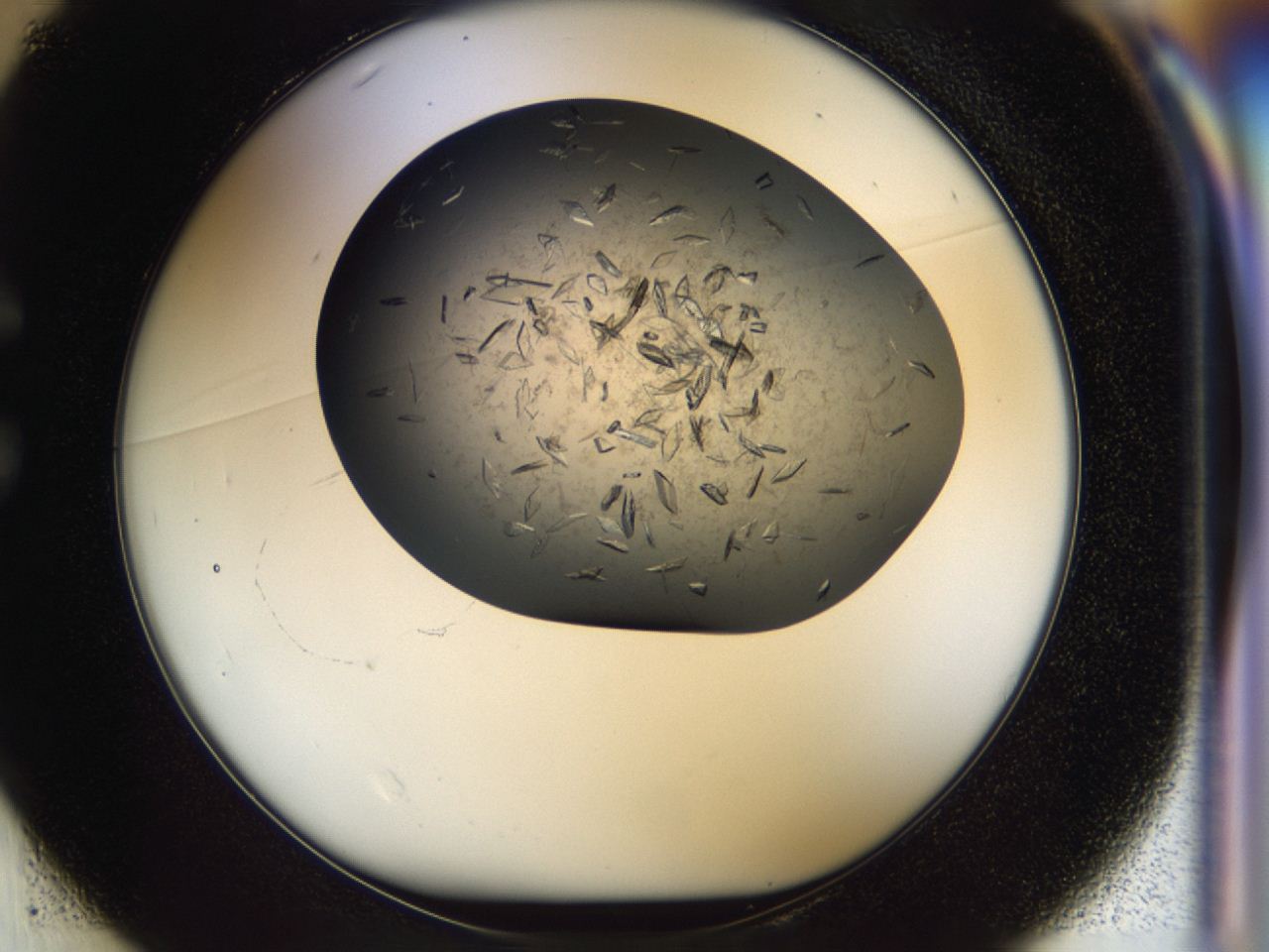 04cr_C1_ImagerDefaults_8.jpg