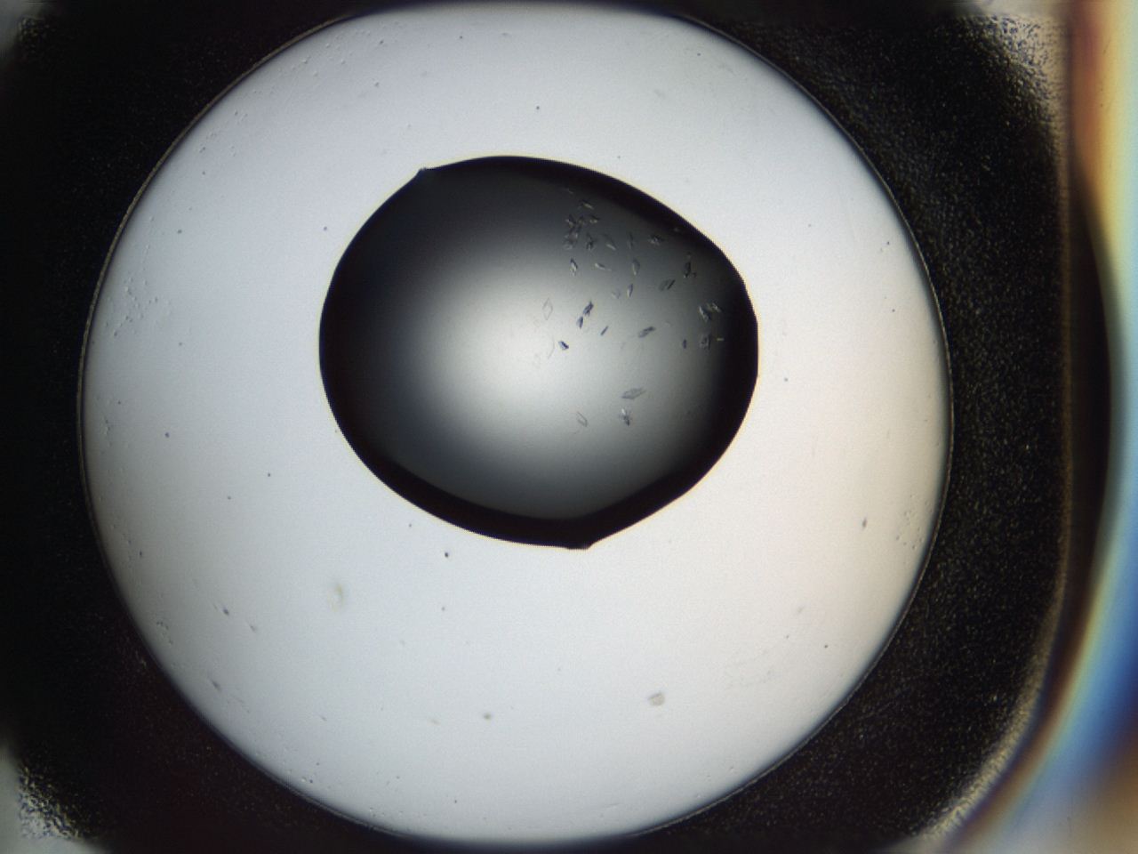 04cr_E5_ImagerDefaults_6.jpg